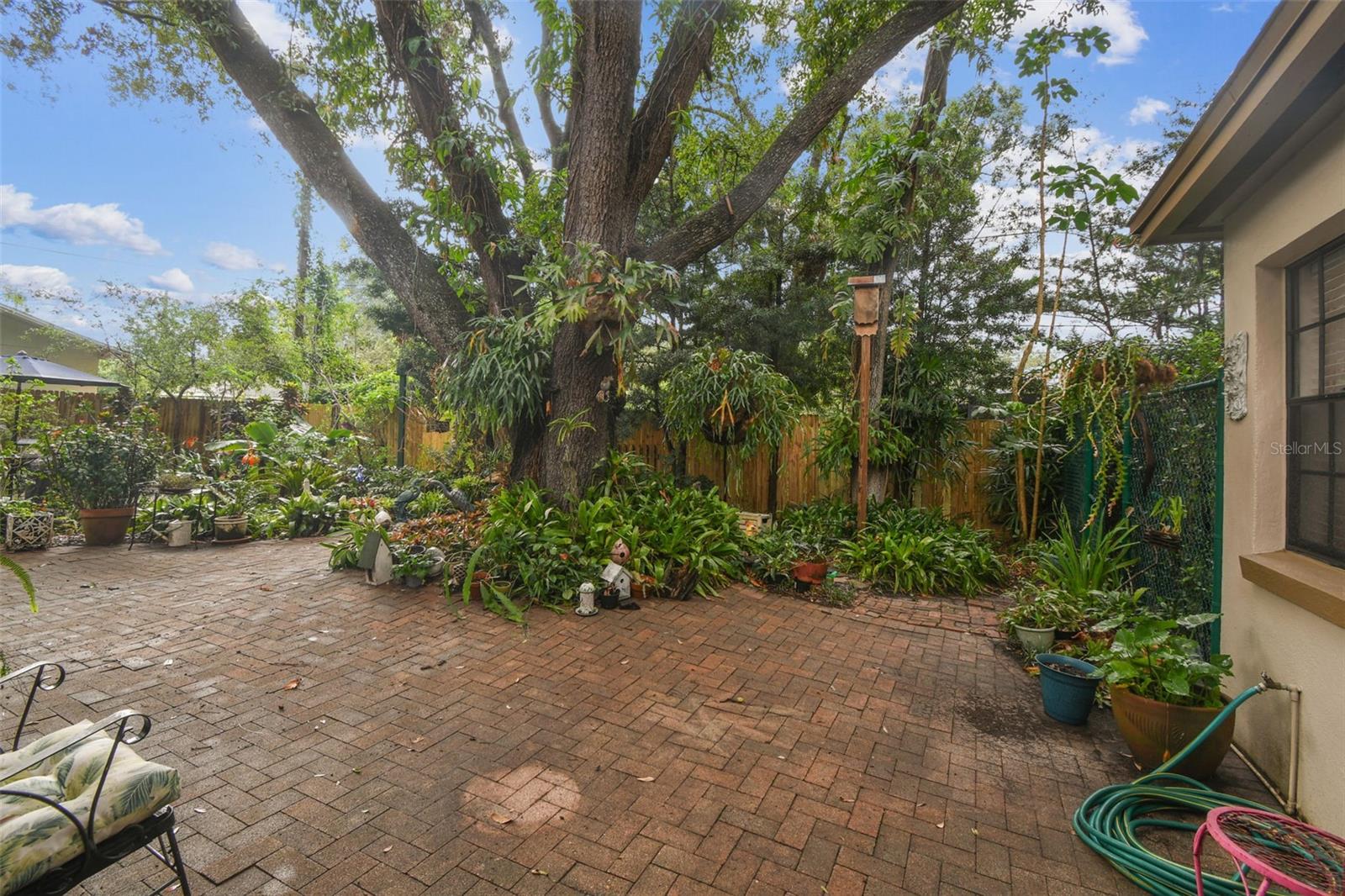 Back Yard