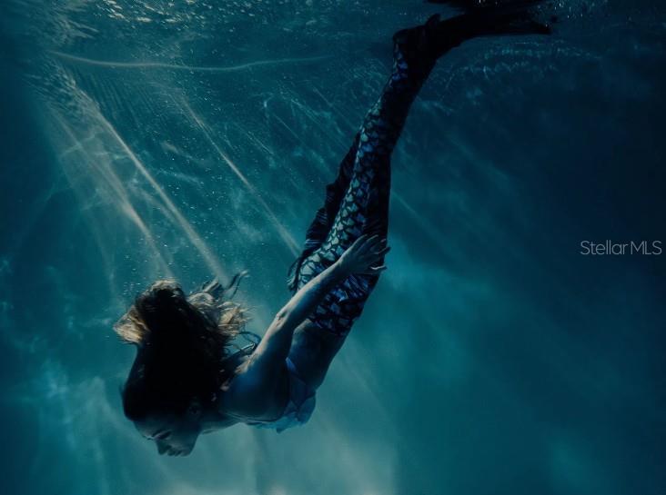 Catch the infamous mermaid show.