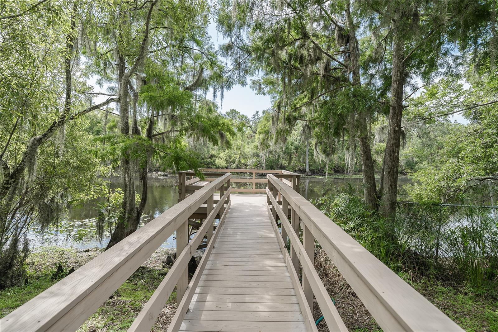 path to dock in park