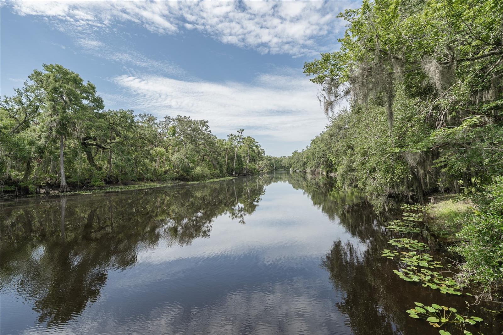 Hillsborough river
