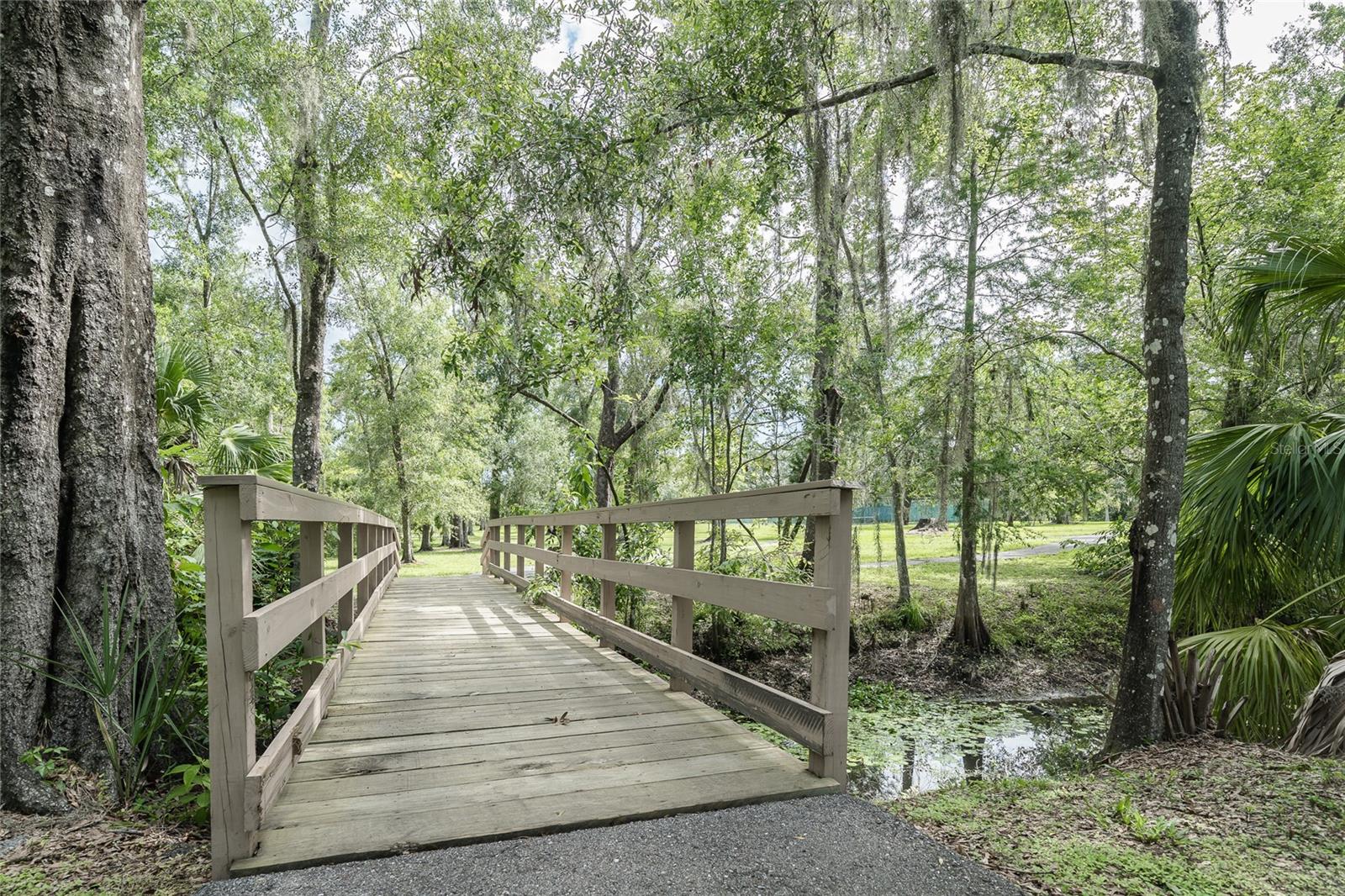 shady walk-in park