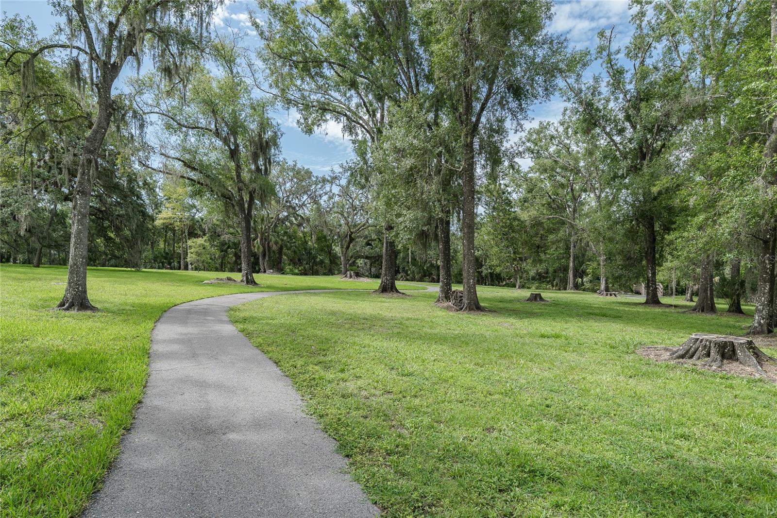 walking path in park