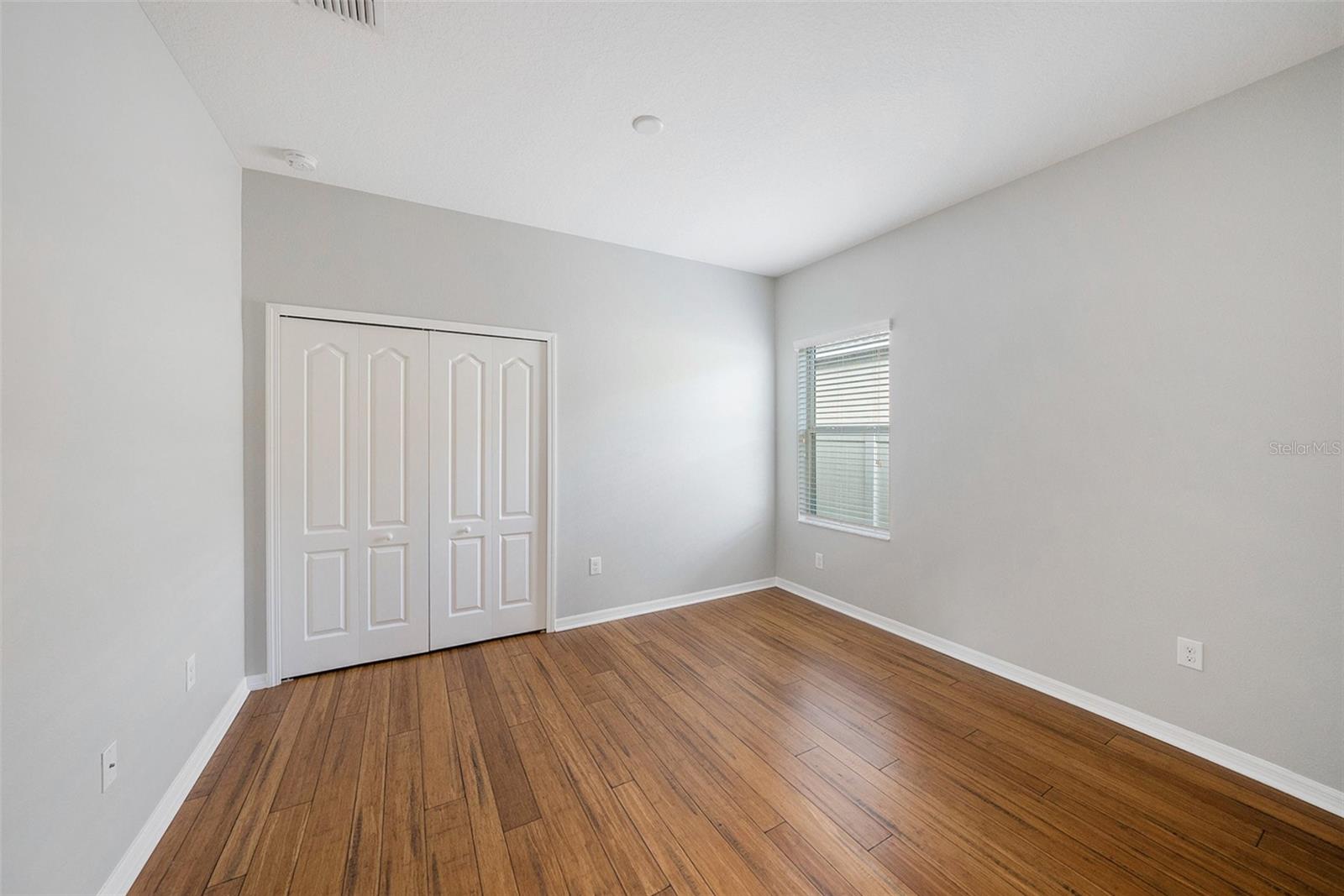 12117 Streambed Drive, Riverview FL 33579 - Triple Creek - bedroom