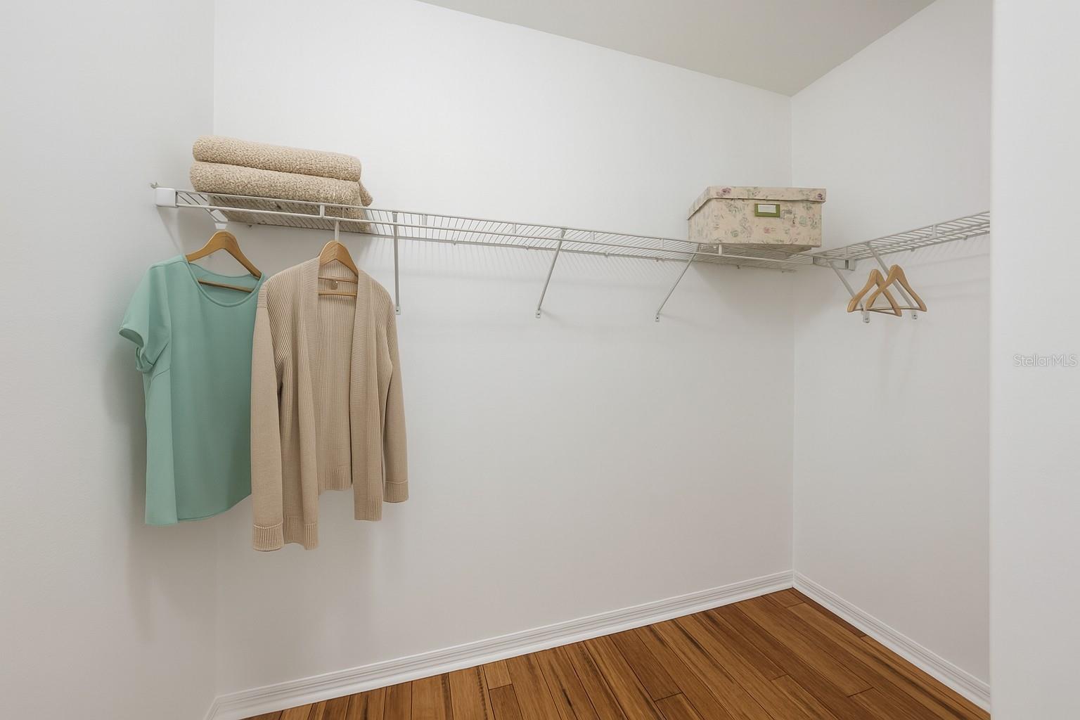 12117 Streambed Drive, Riverview FL 33579 - Triple Creek - Primary Walk-in Closet