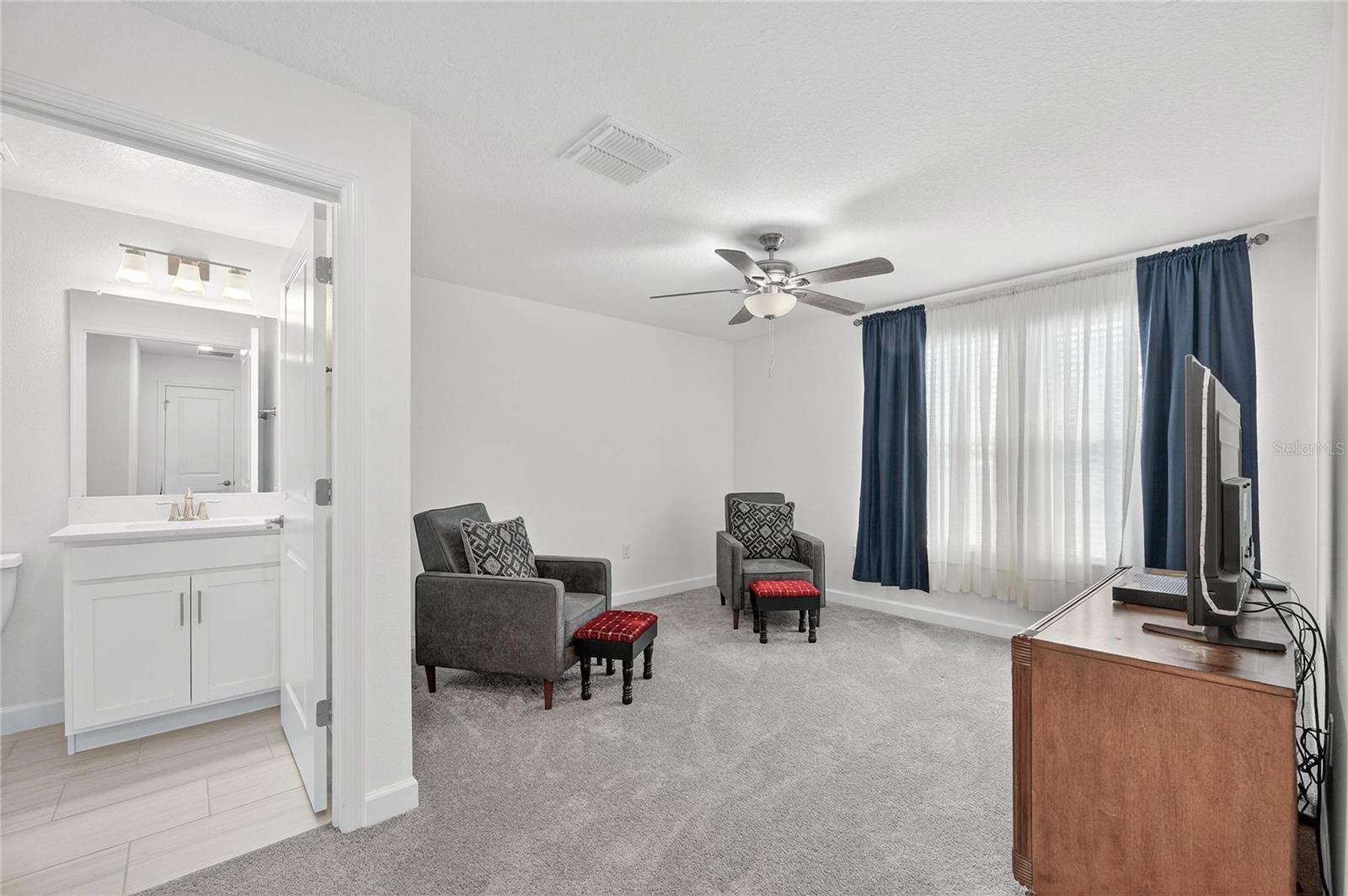 Loft / Bonus Room