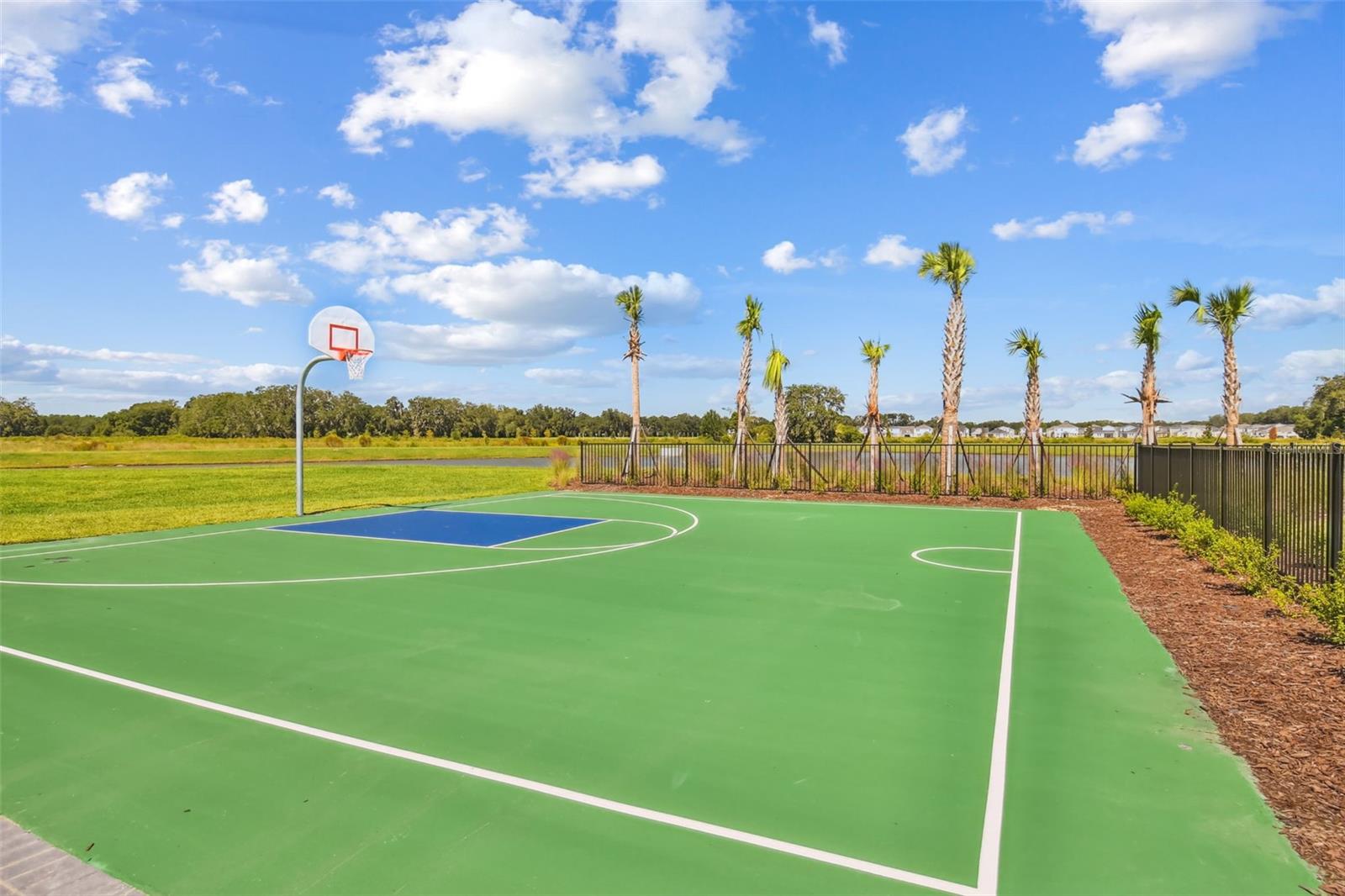 Community basketball court