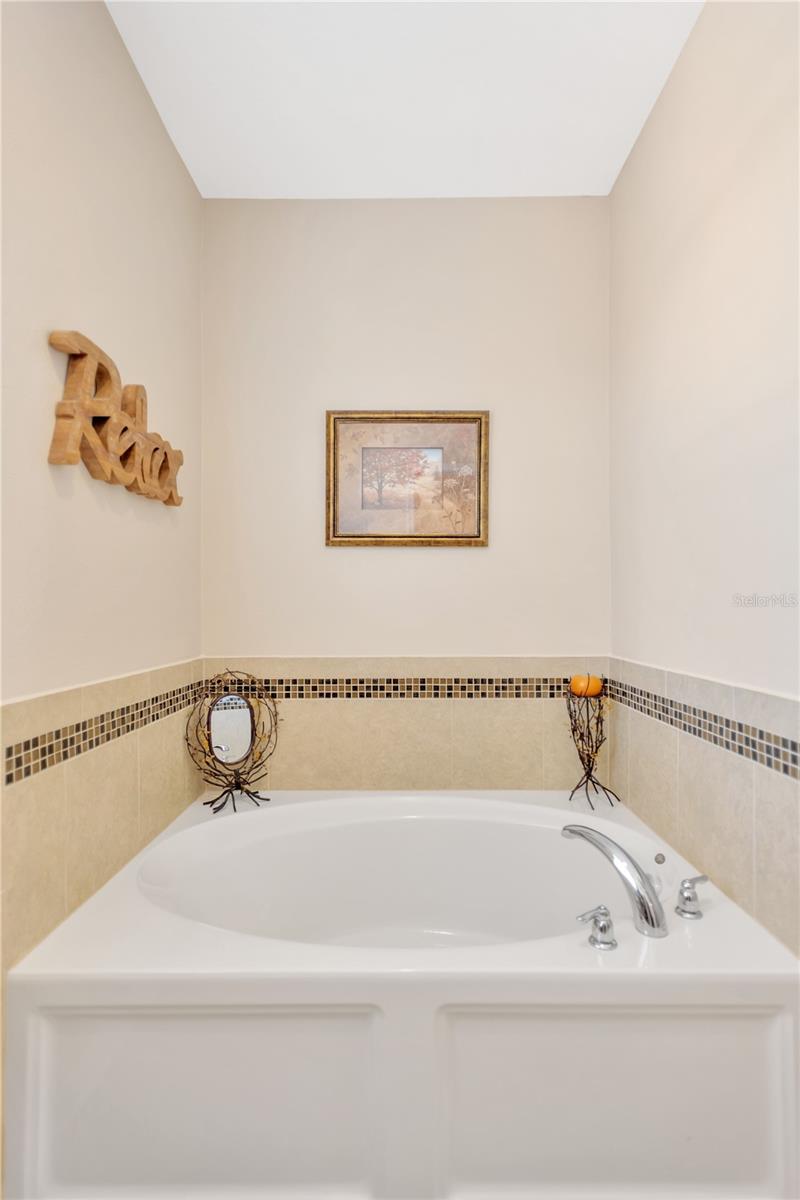 Primary #1 soaking tub.