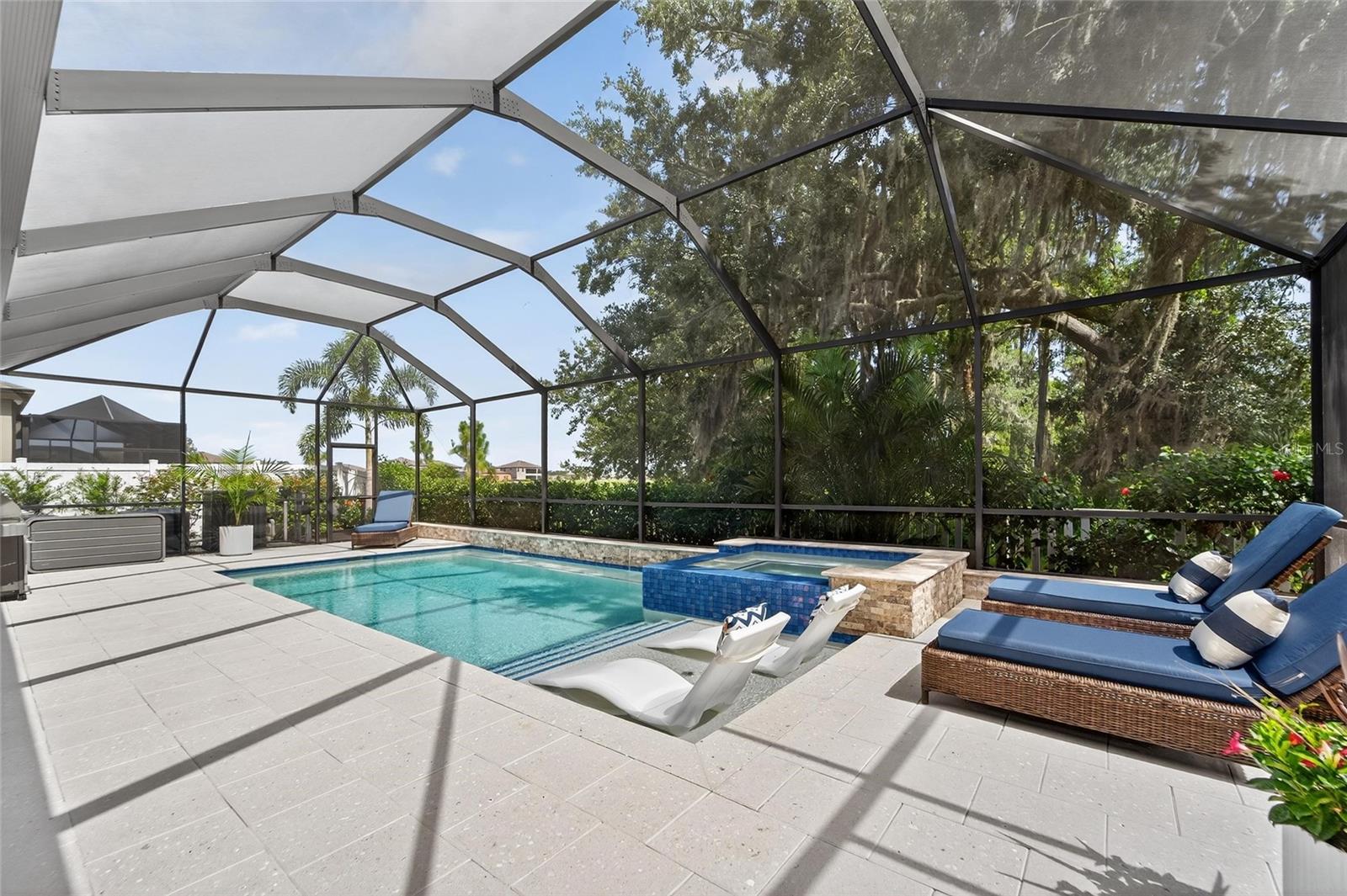 Backyard Oasis