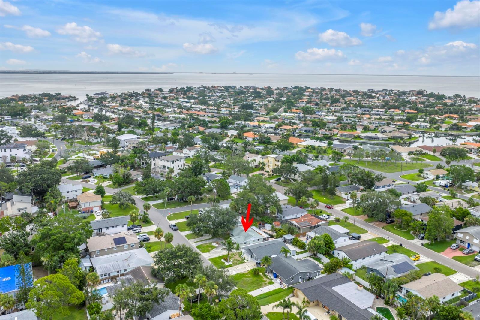 Located On The Shores of Tampa Bay