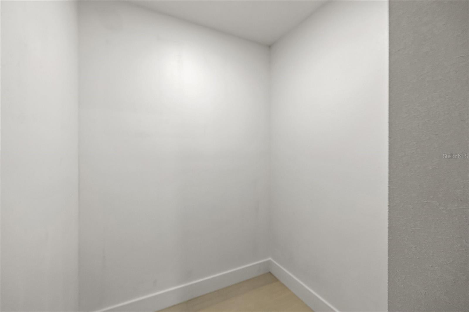 Primary Suite Closet