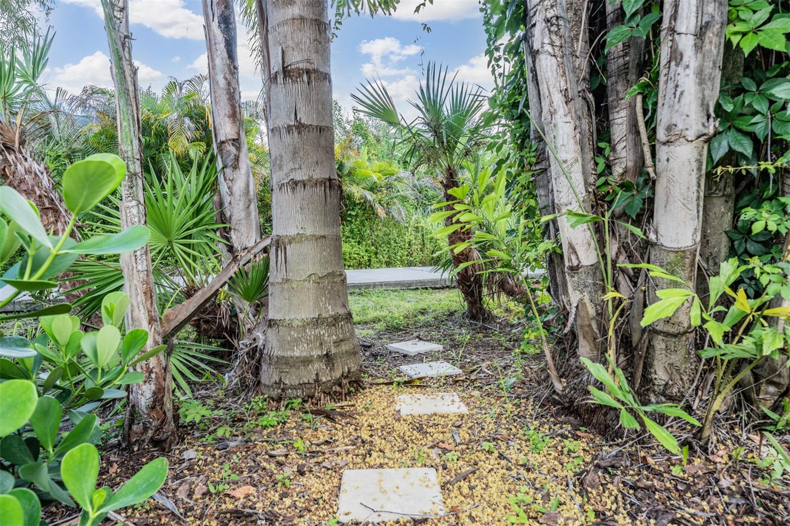 Paver Path to the Walking/Biking Trail behind the house