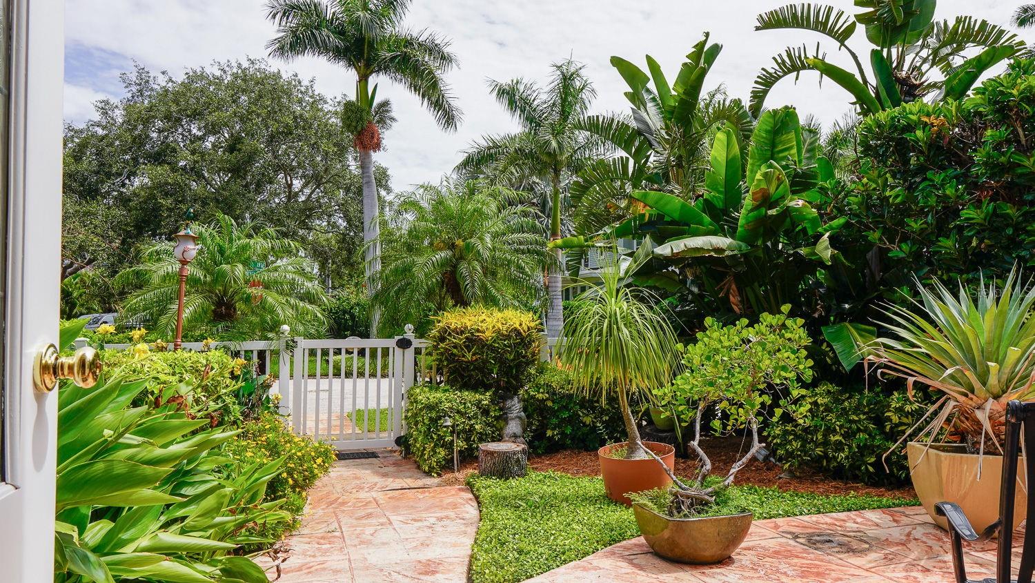 Entrance to the house and front yard !