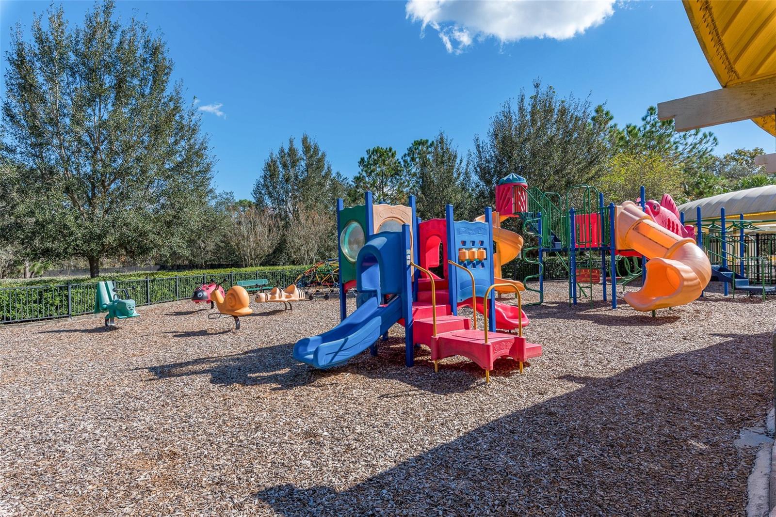 W7876976