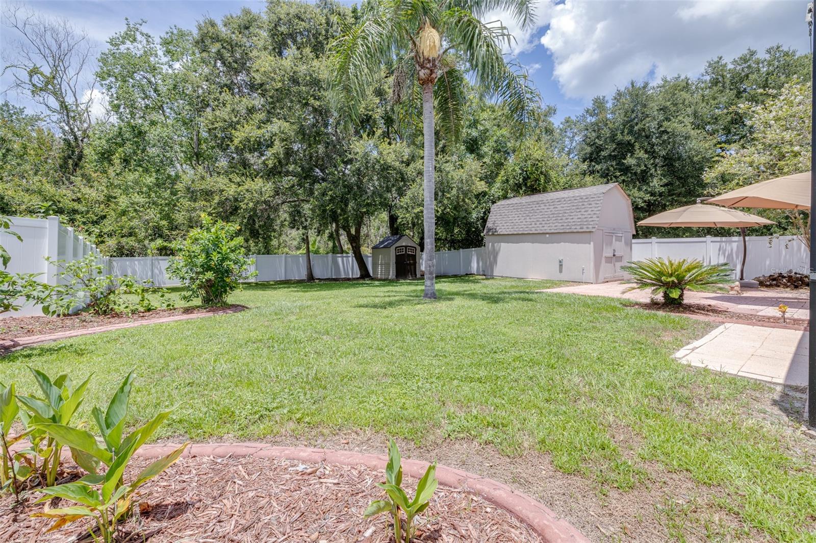 backyard – backs to conservation