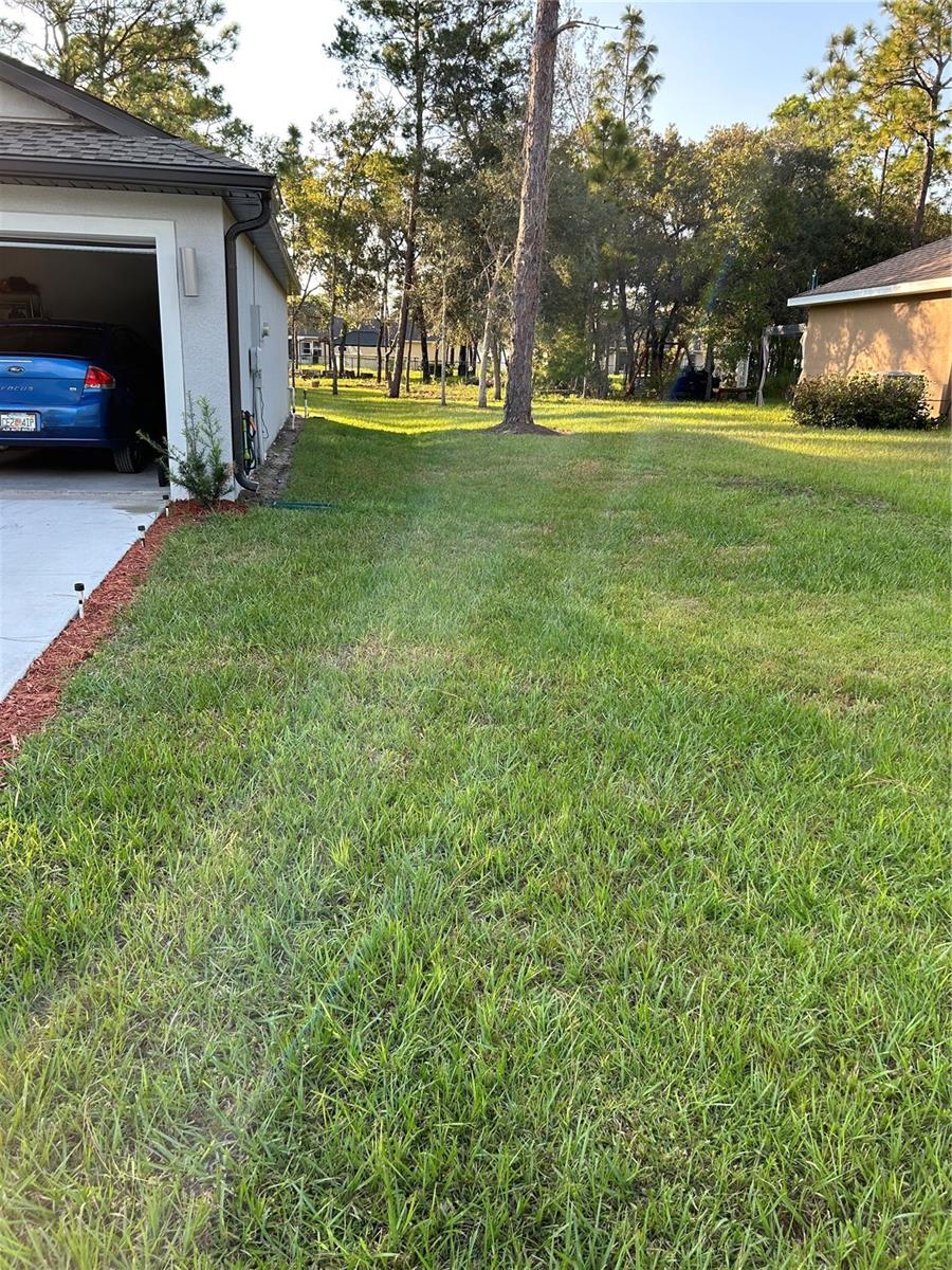 Side yard