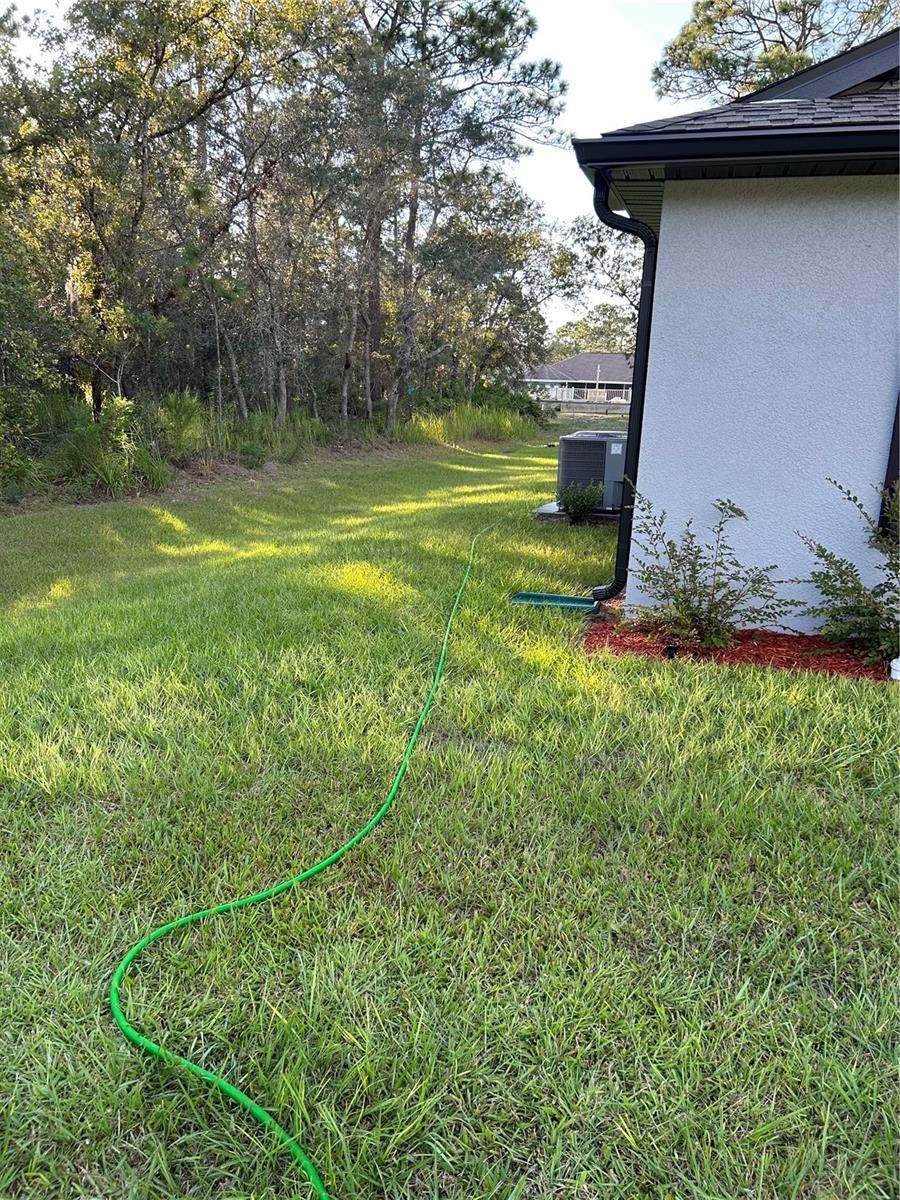 Left side yard