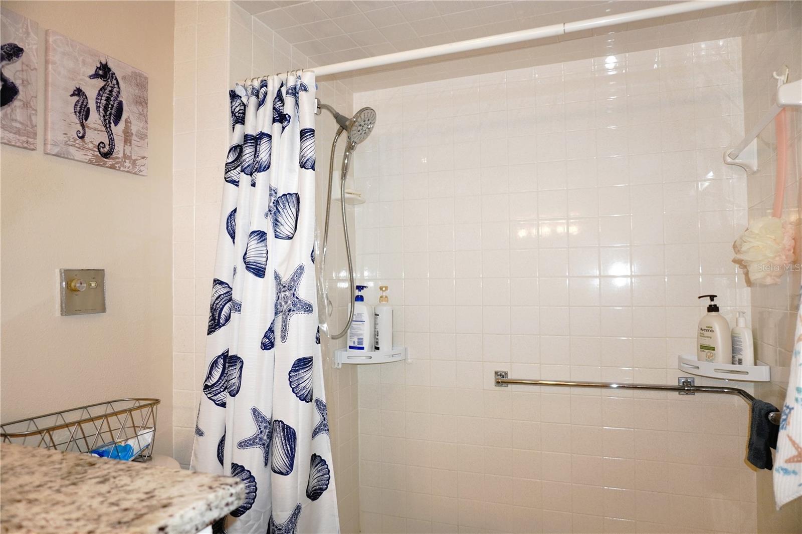 Walk-In Shower