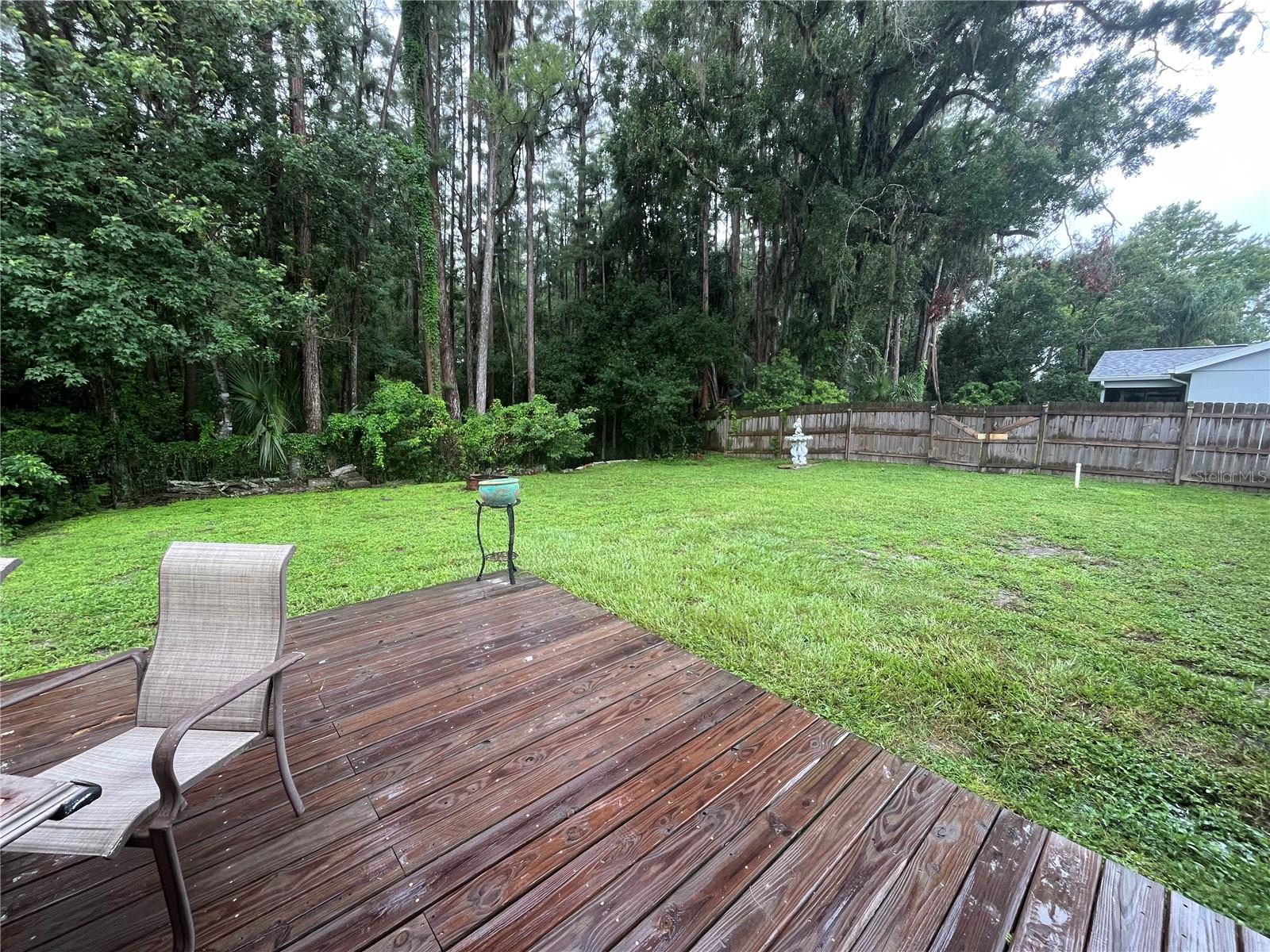 backyard oasis