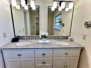 Master Dual sinks