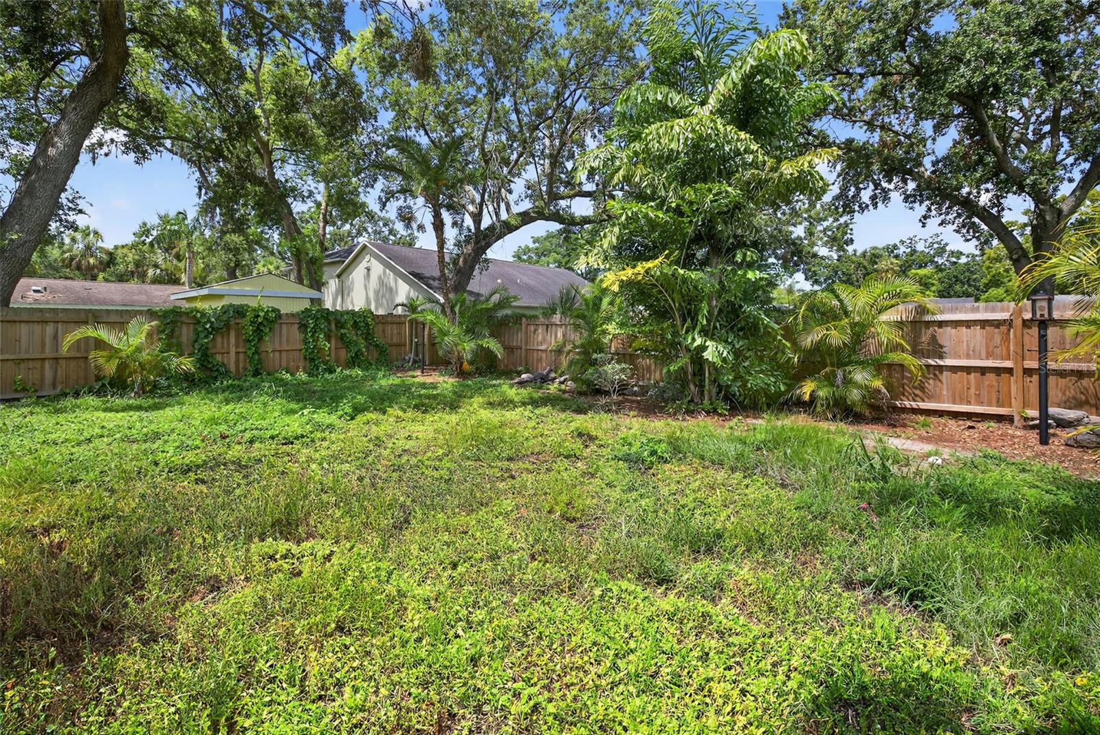 Exterior - Yard