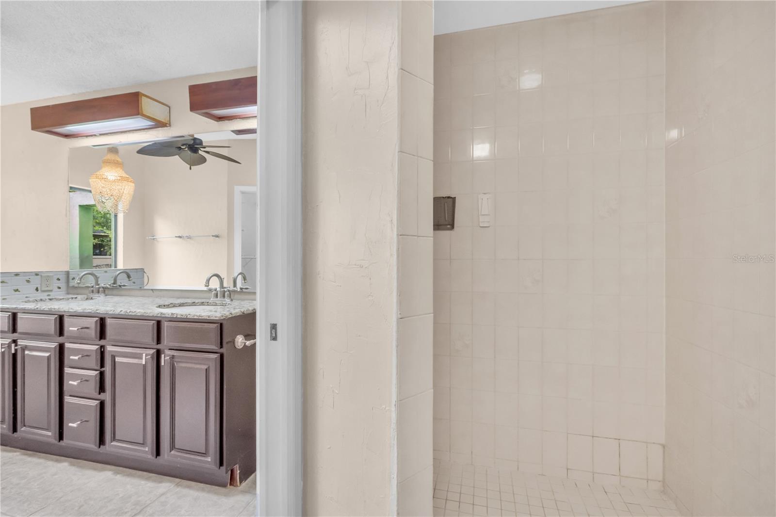 Master Bathroom walk-in shower.