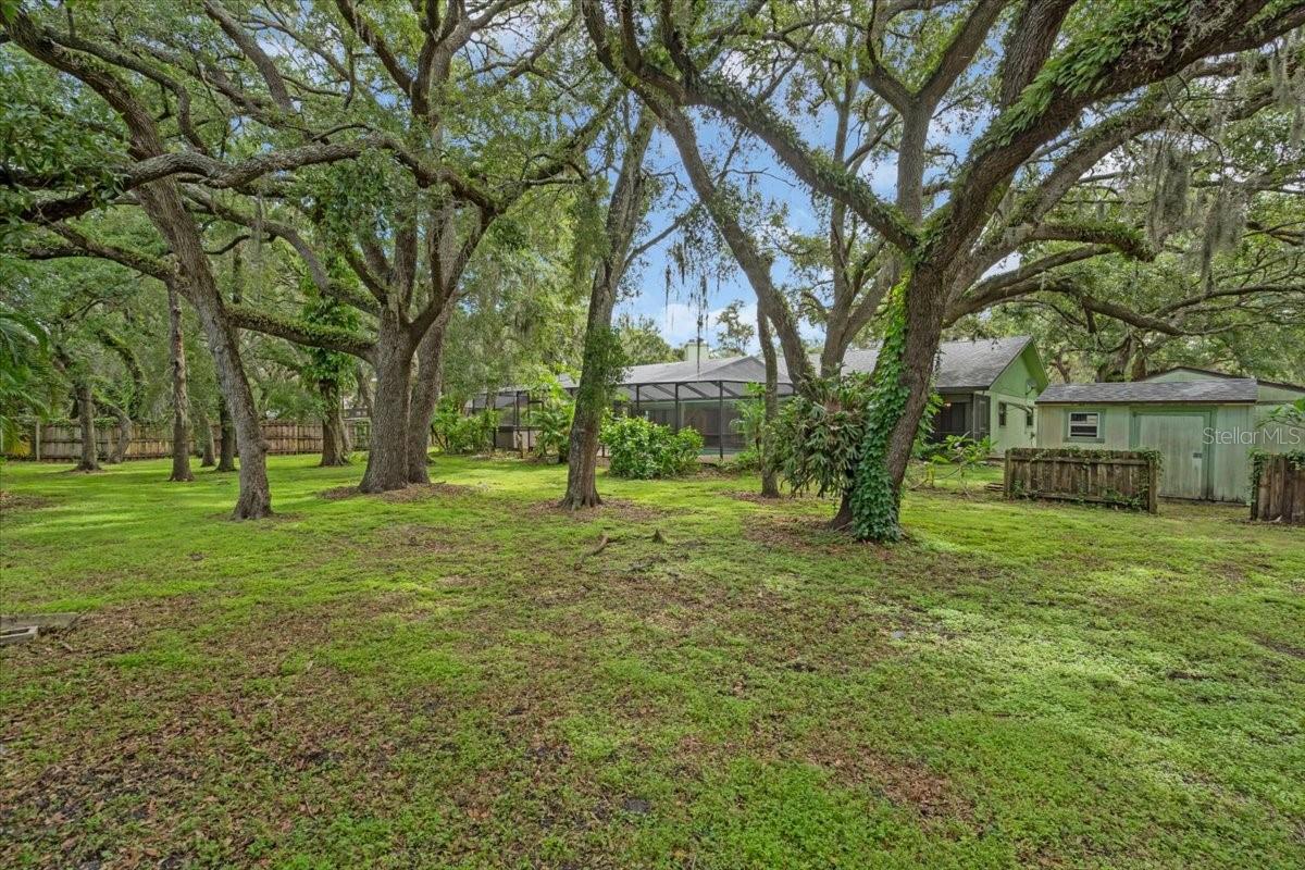 More backyard with one of 2 sheds on the property.