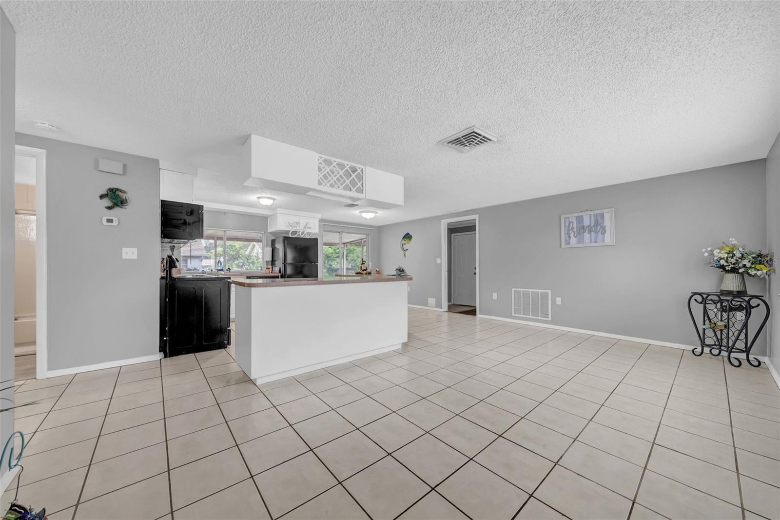 Spacious living room and open kitchen