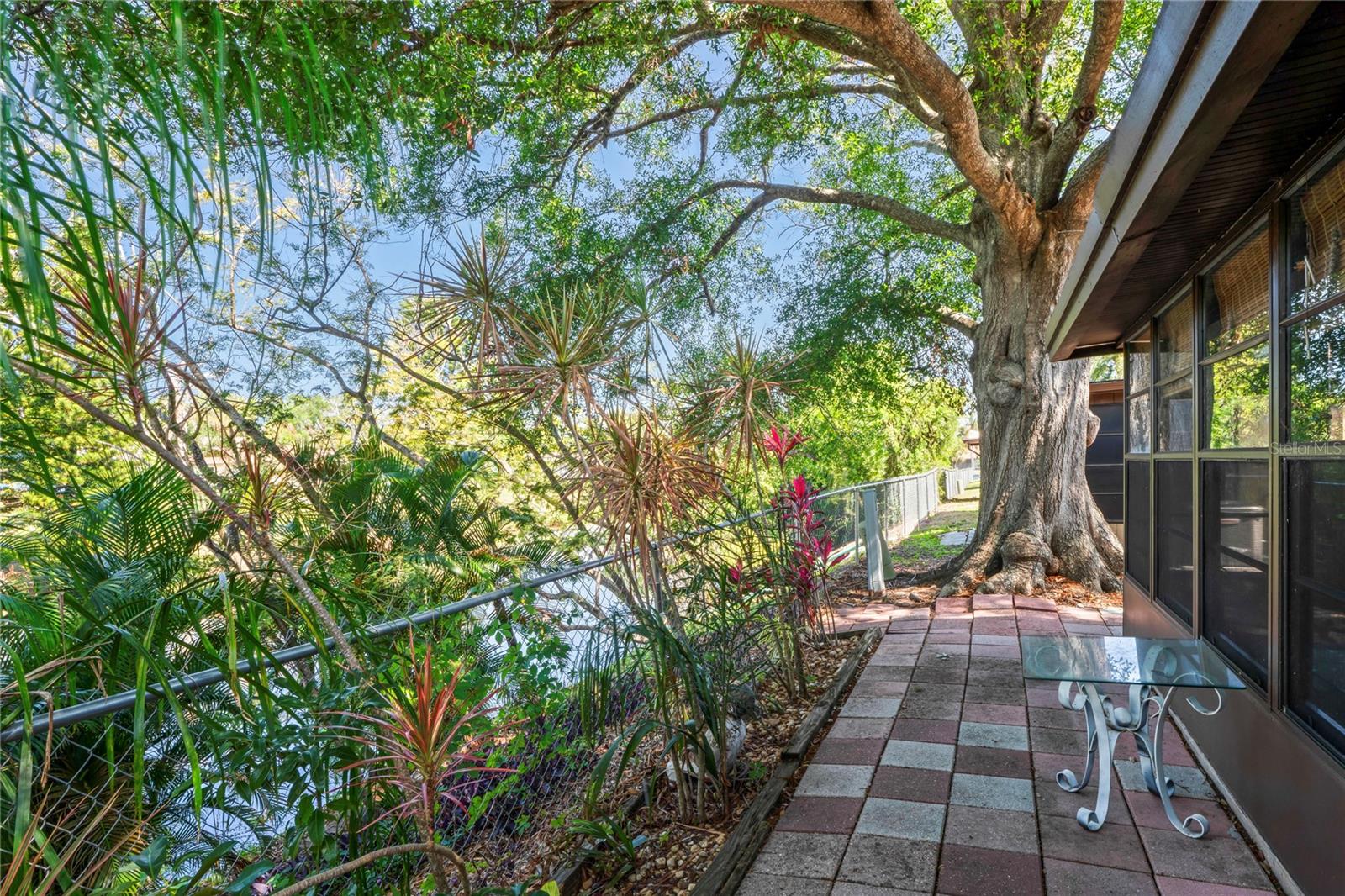 NATURE & PEACEFUL BACKYARD