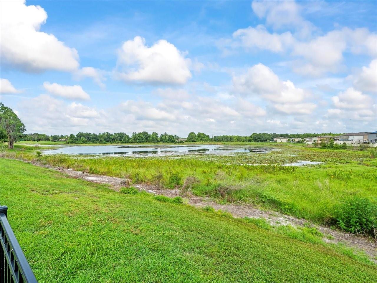 Pond Frontage