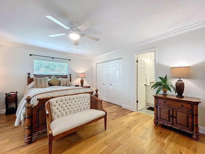 Tremendous Master Bedroom