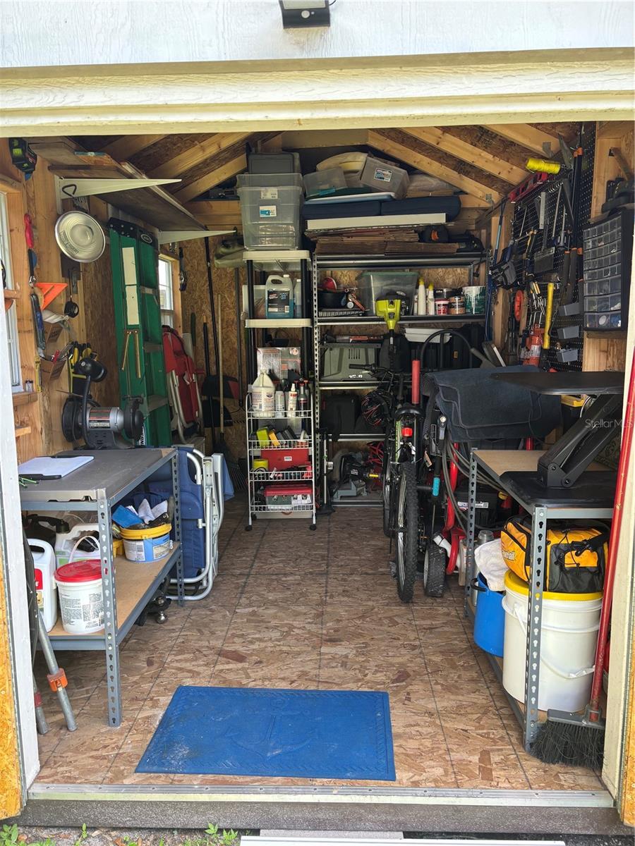 Shed Interior