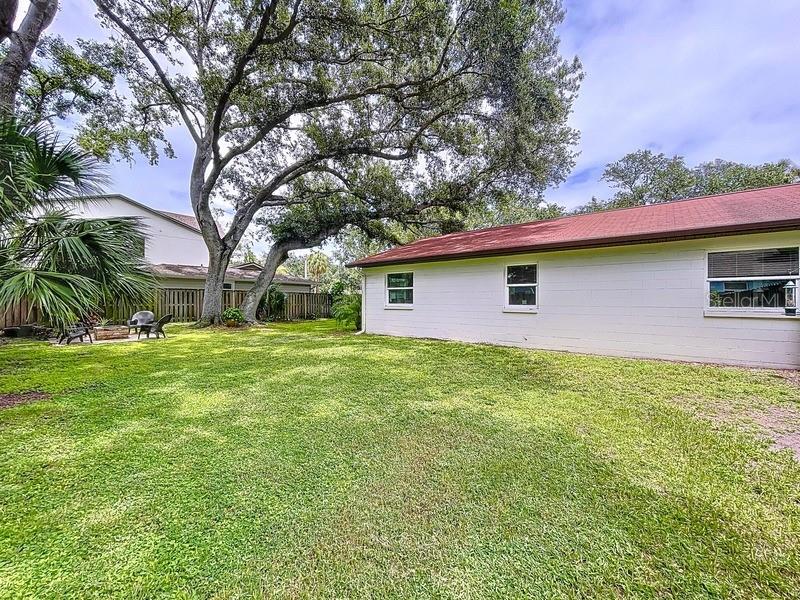 Spacious Yard
