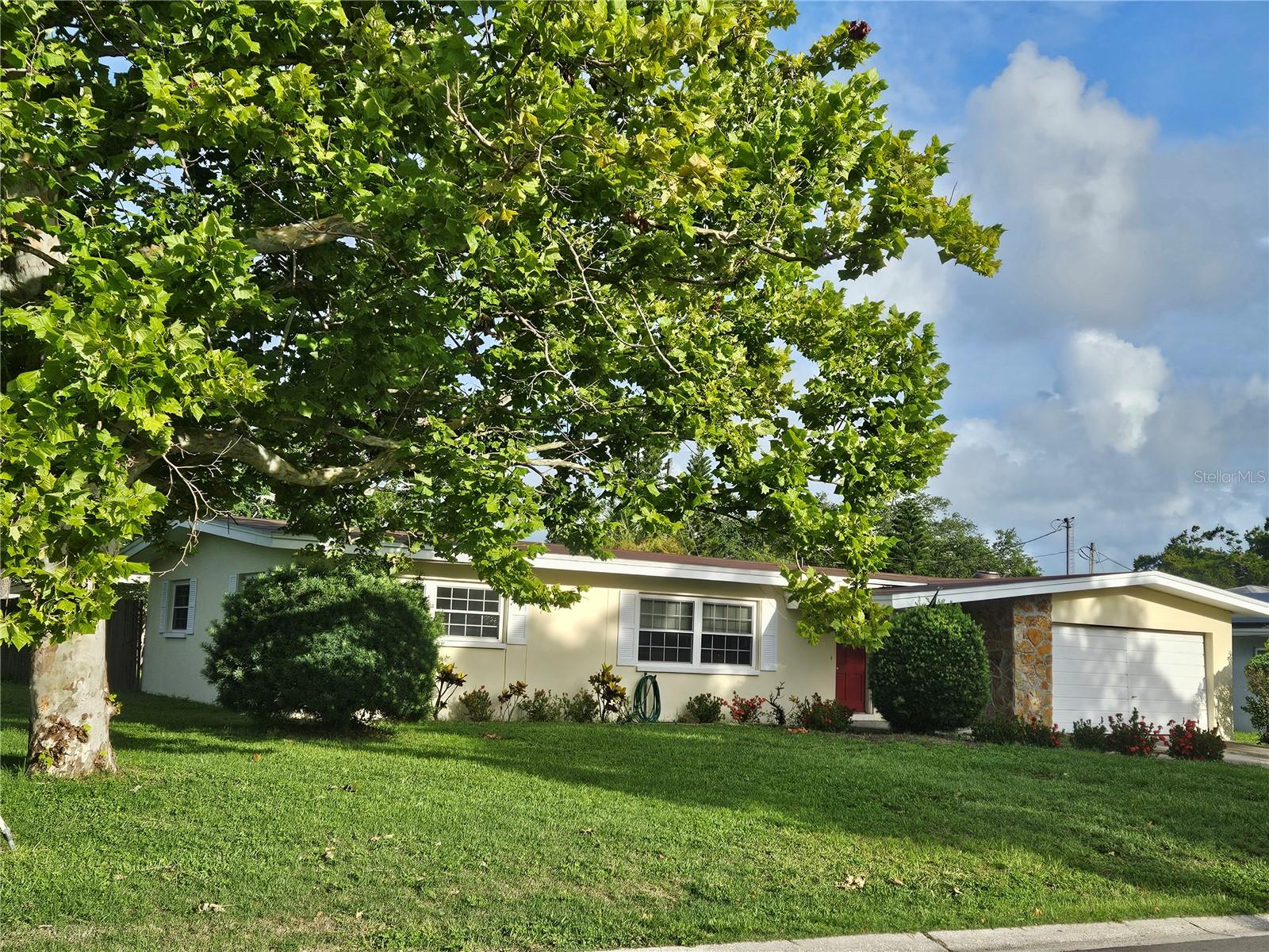 Large Corner Lot.