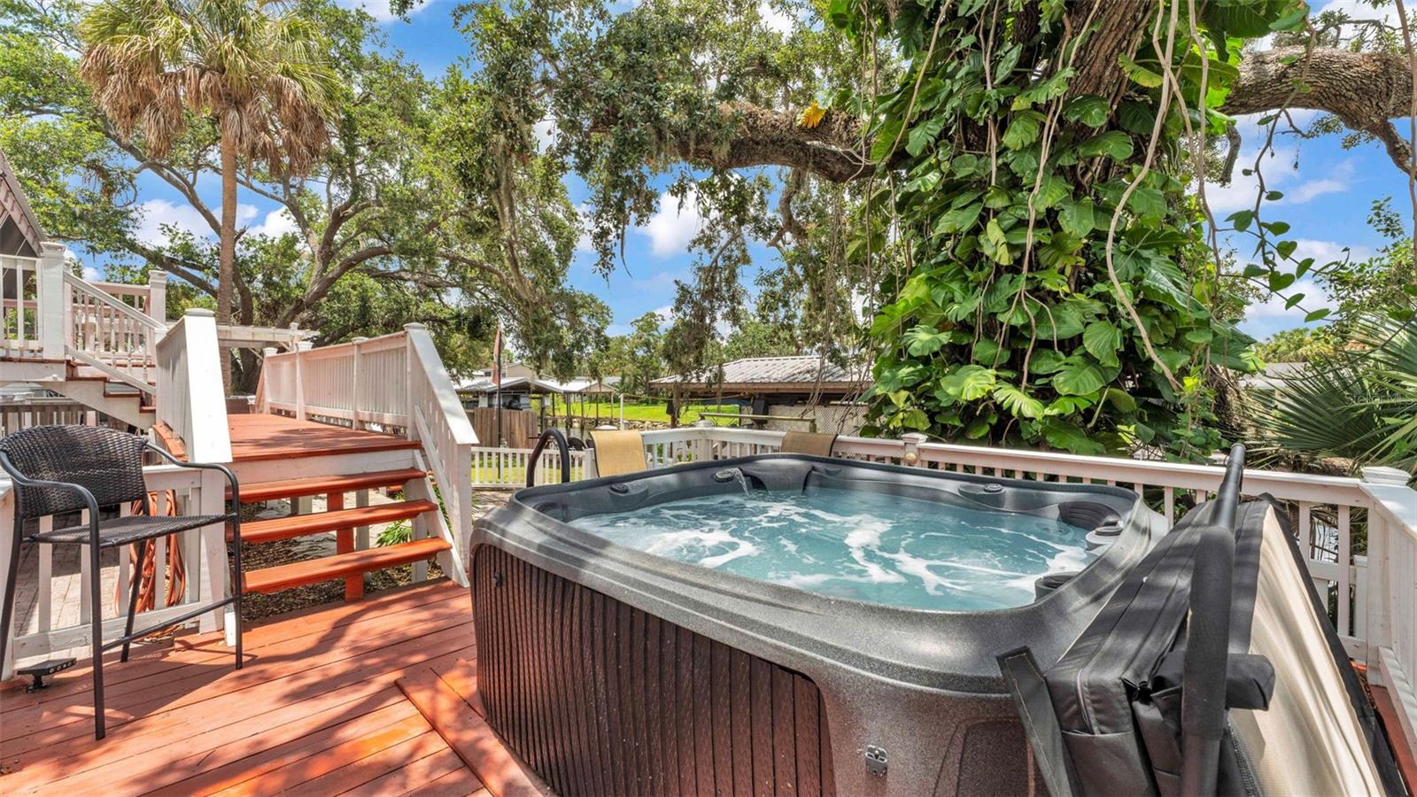 The tree right by the hot tub is over 100 years old and keeps the surrounding air clean with all of the vines.