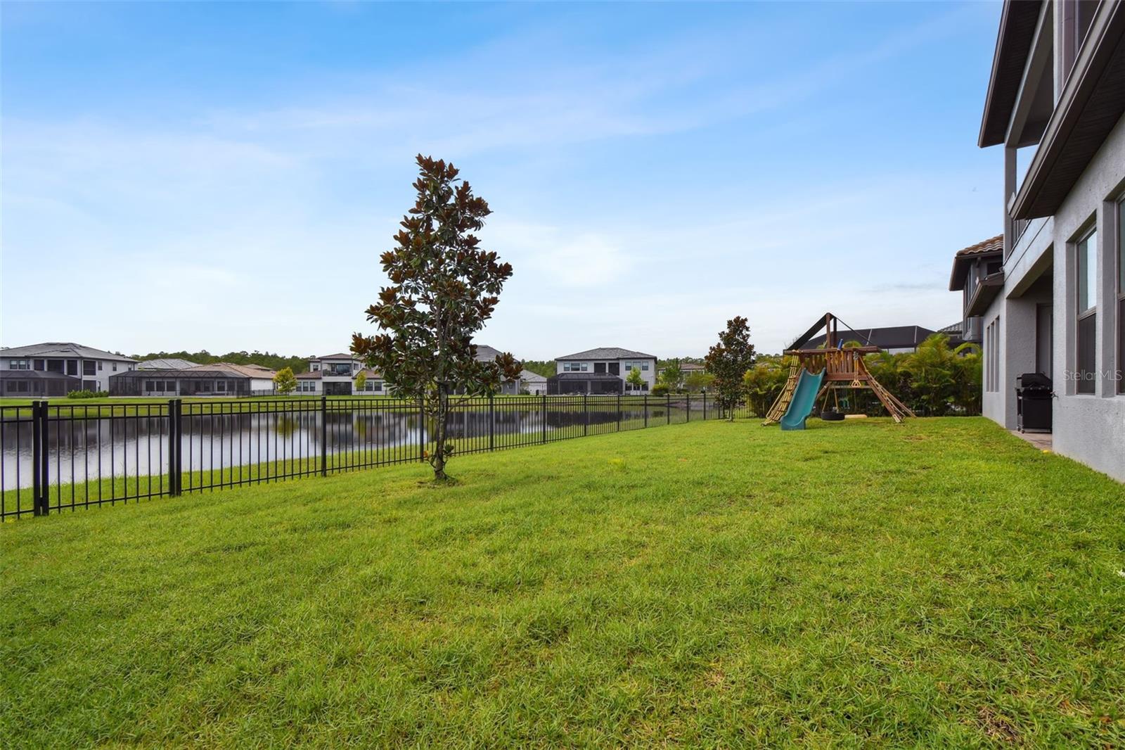 Back yard