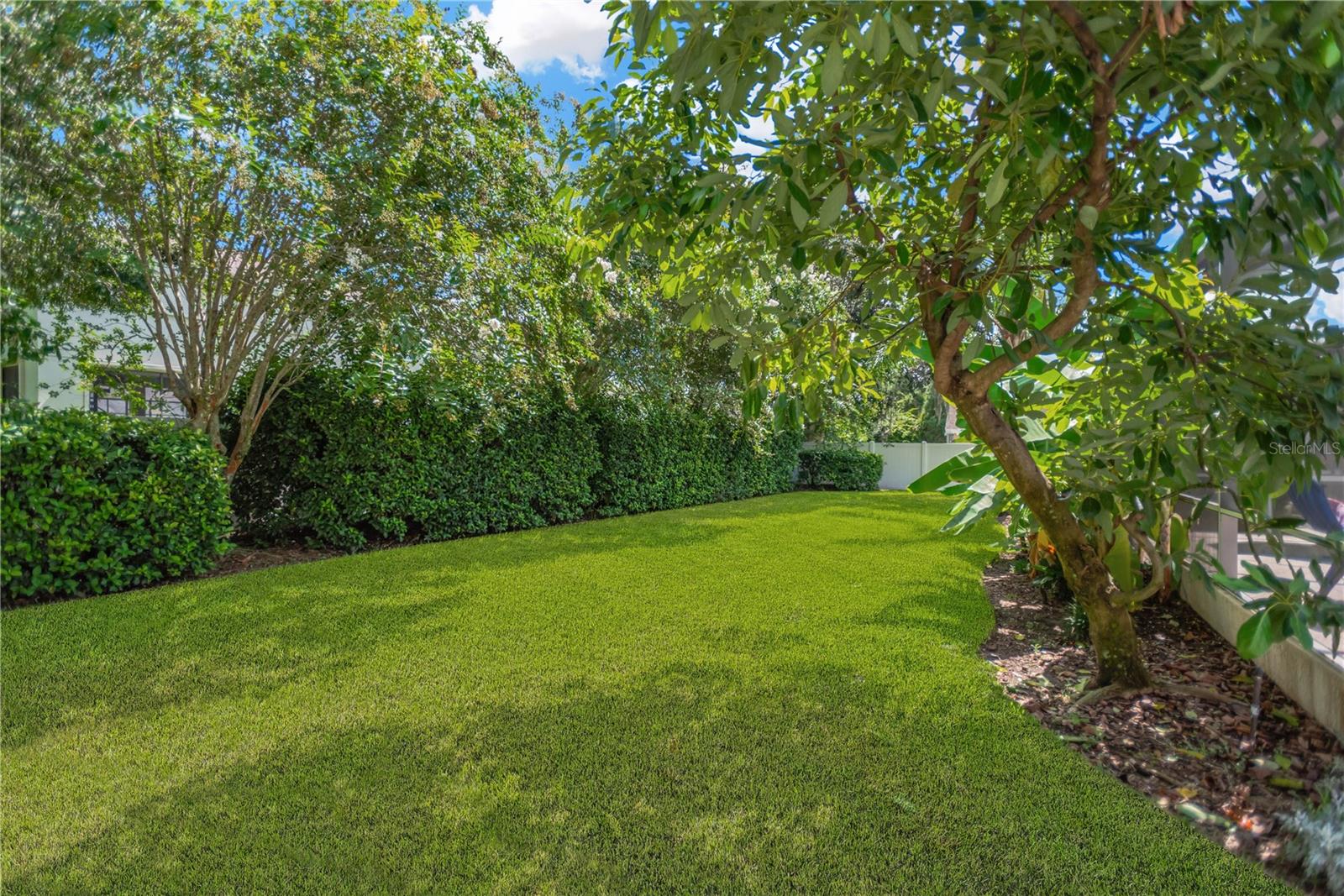 Lush backyard foliage provides privacy