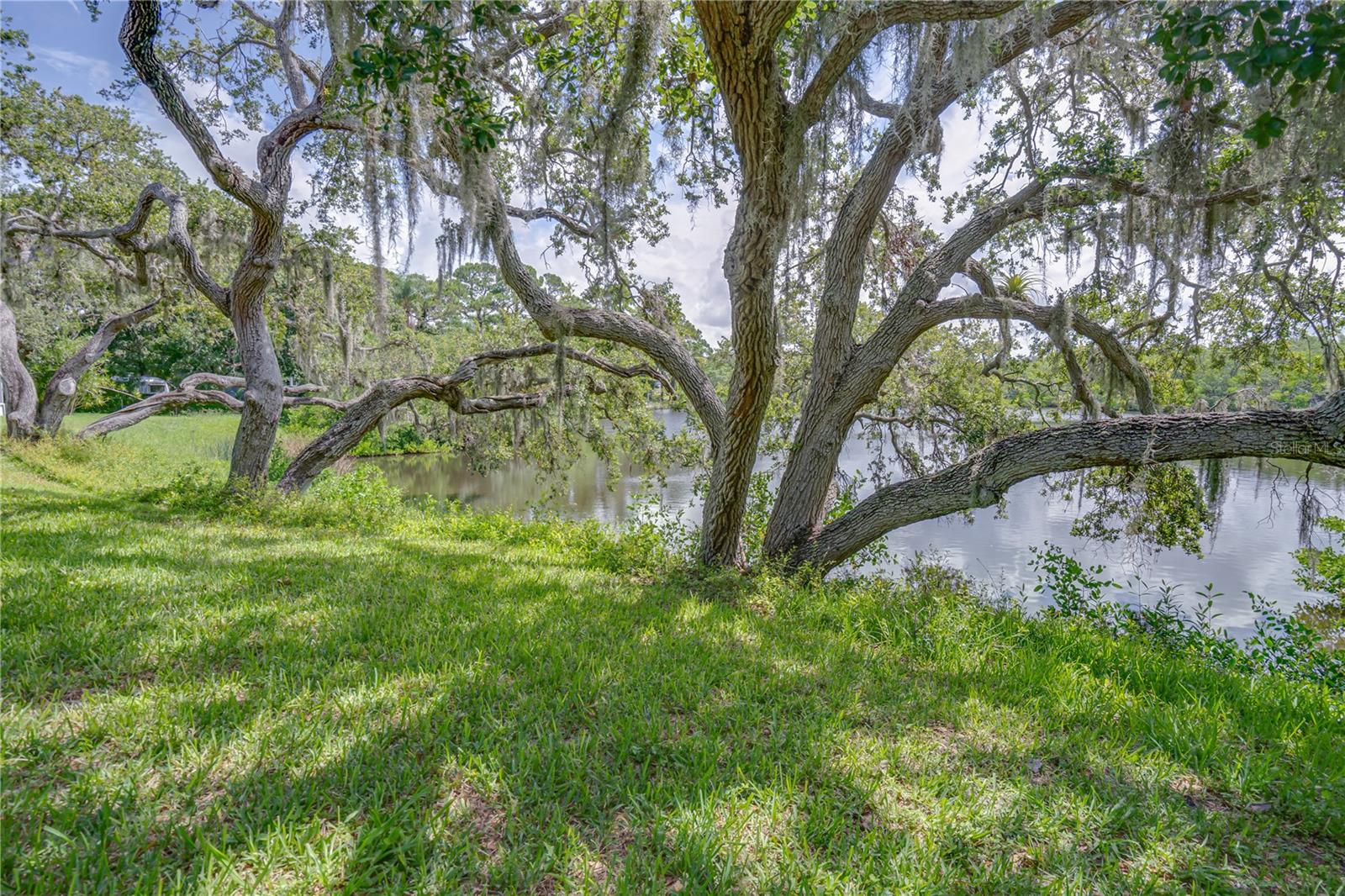 Backyard bayou over look