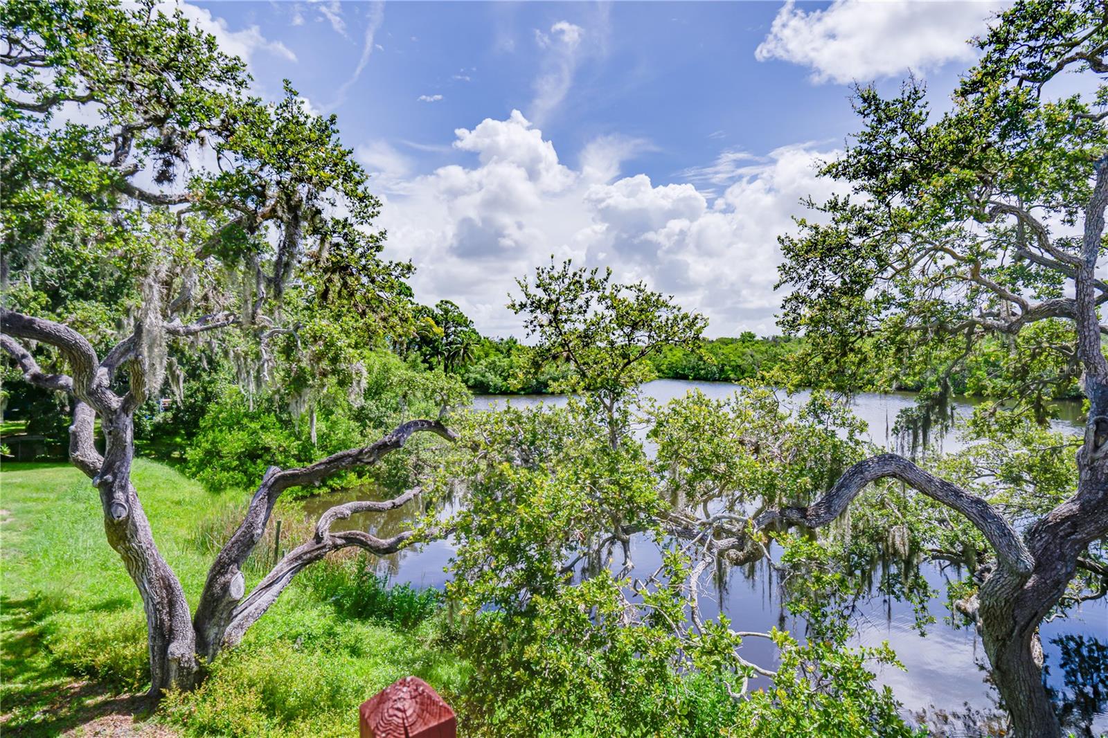 Bayou Overlook
