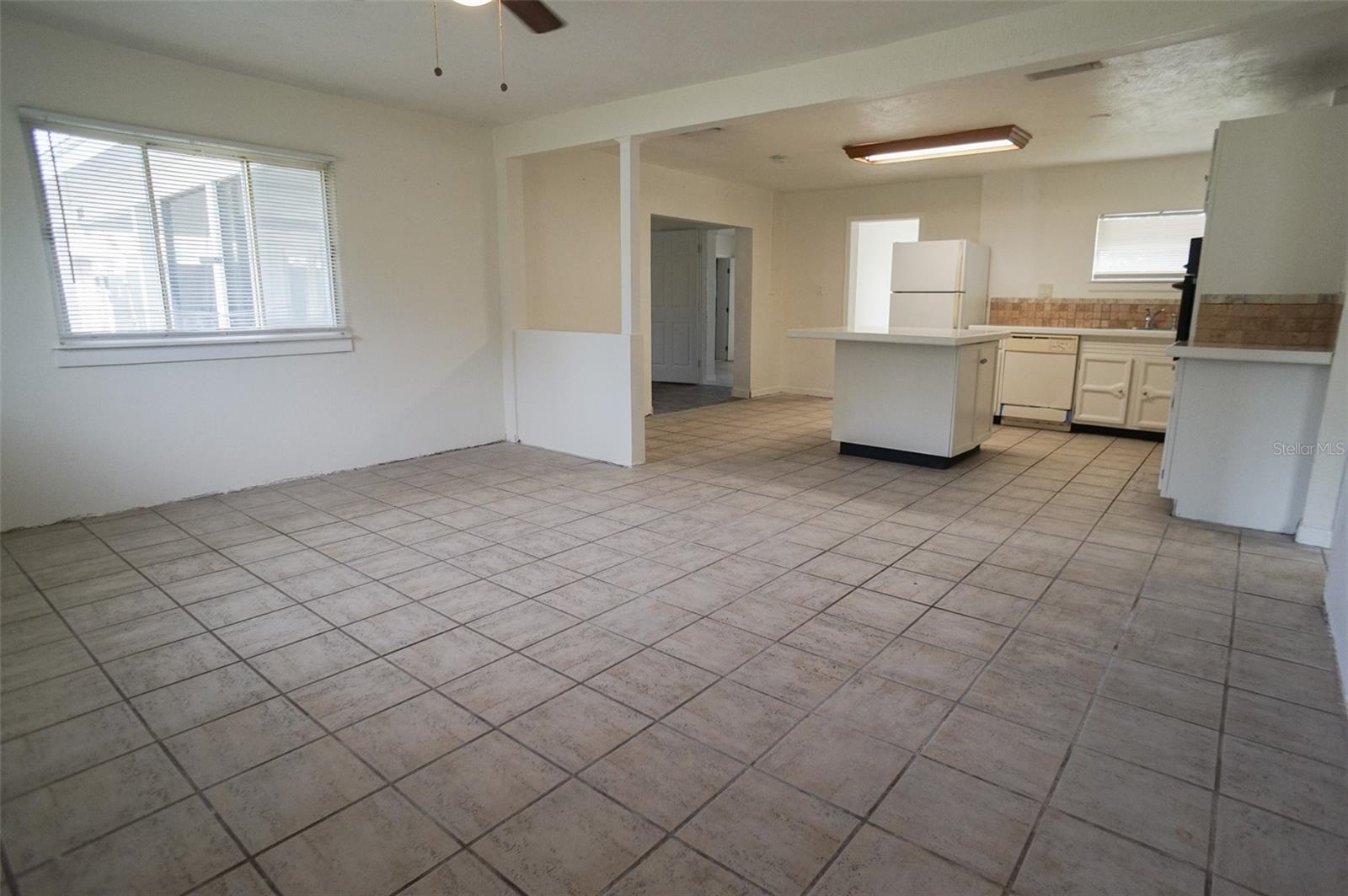 Living and Kitchen