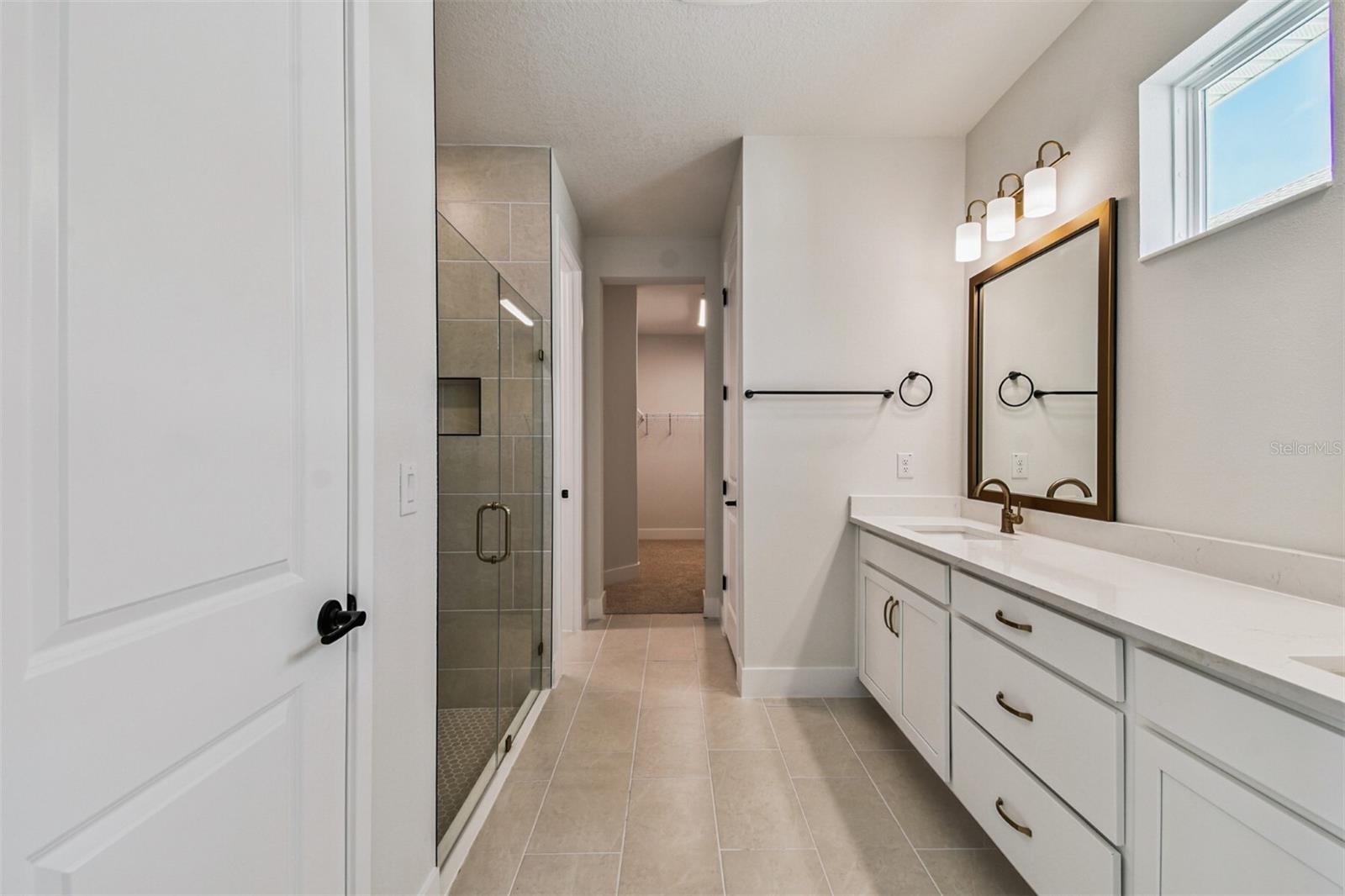 Owner's Bath