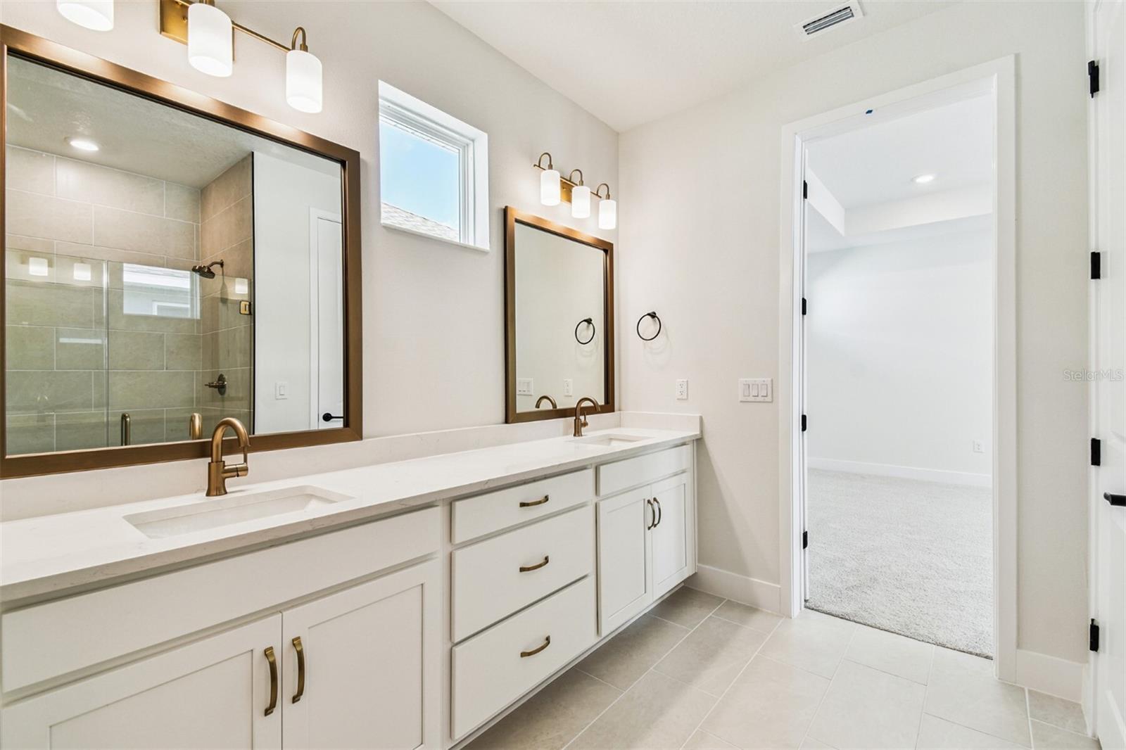 Owner's Bath