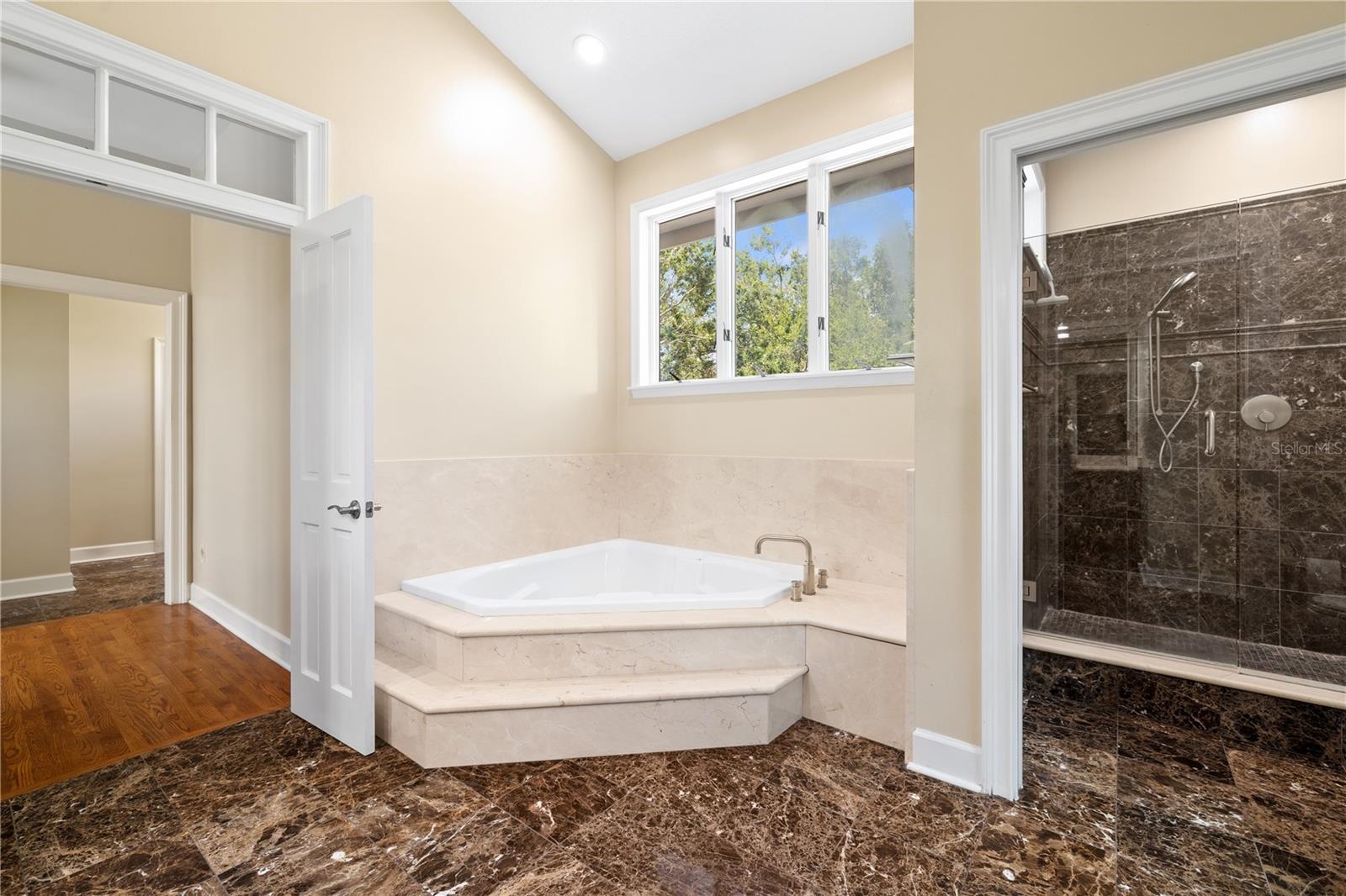 Master Bath 2