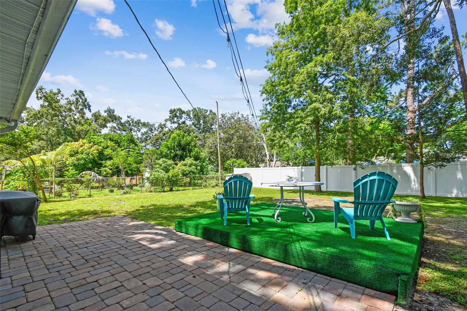 Backyard