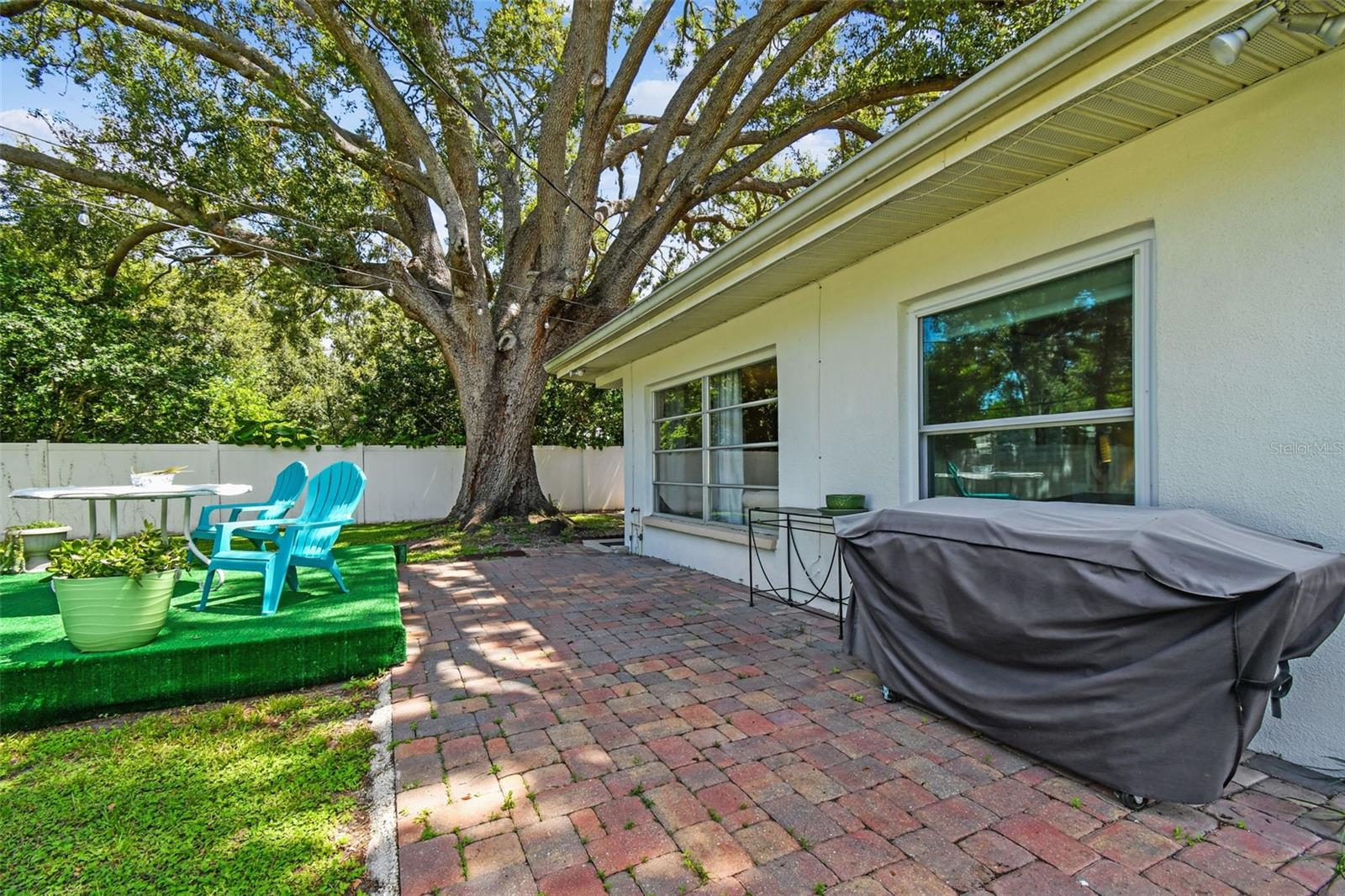 Backyard