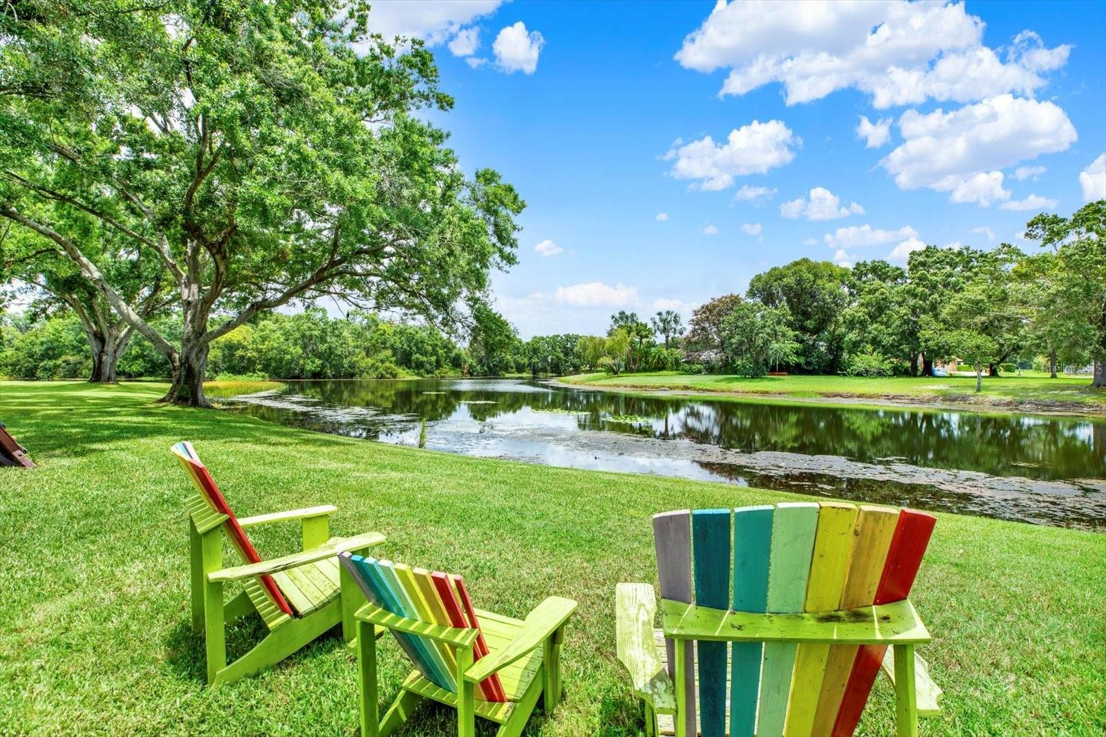 Backyard View of Pond