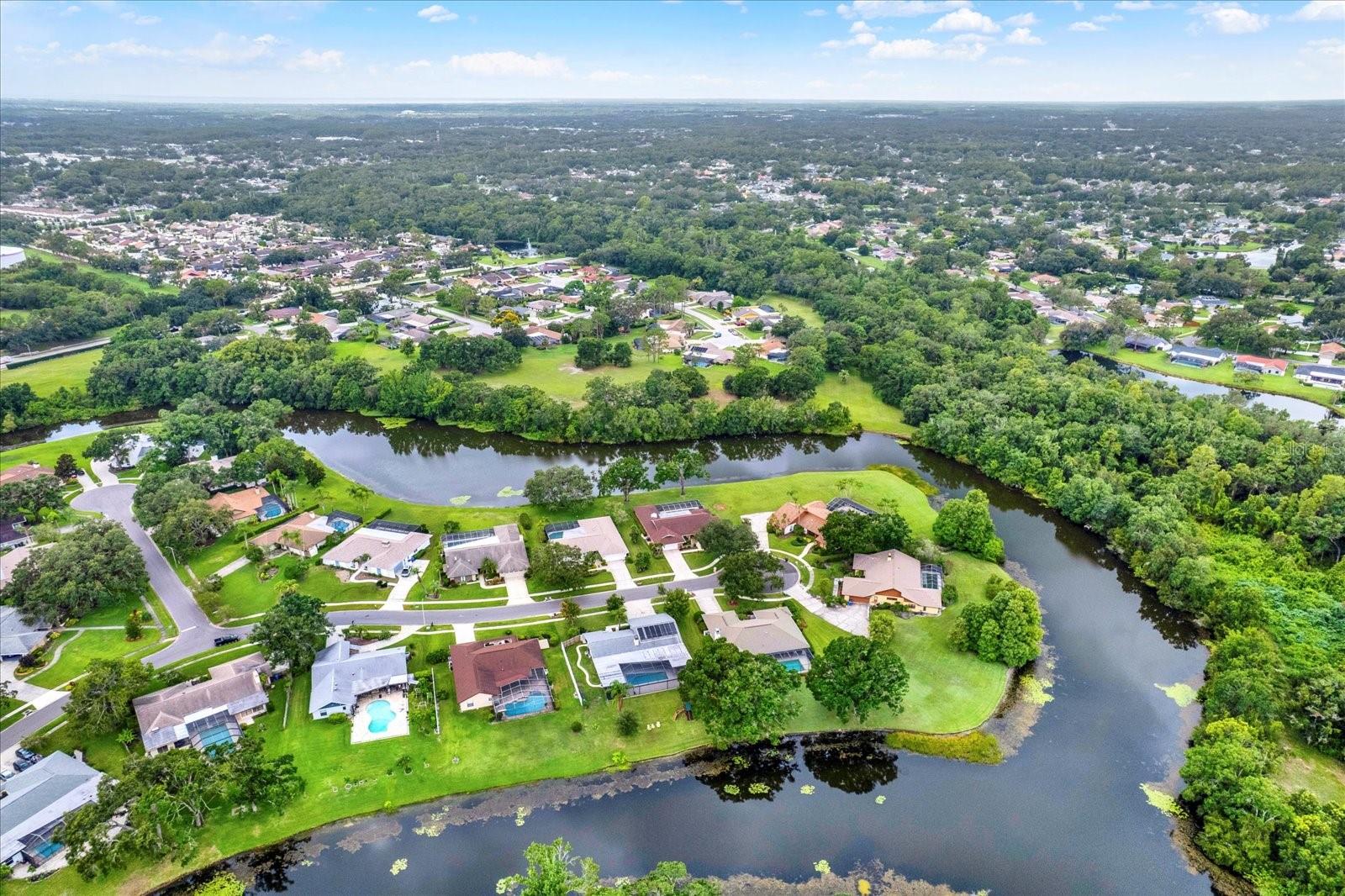 Aerial/Pond