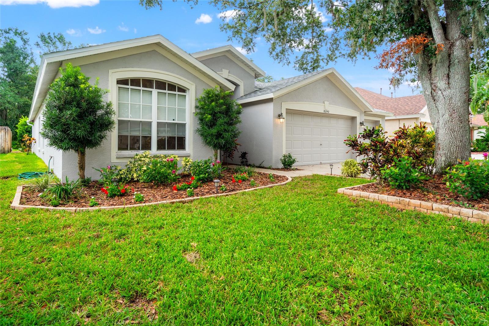 Mature Landscaping