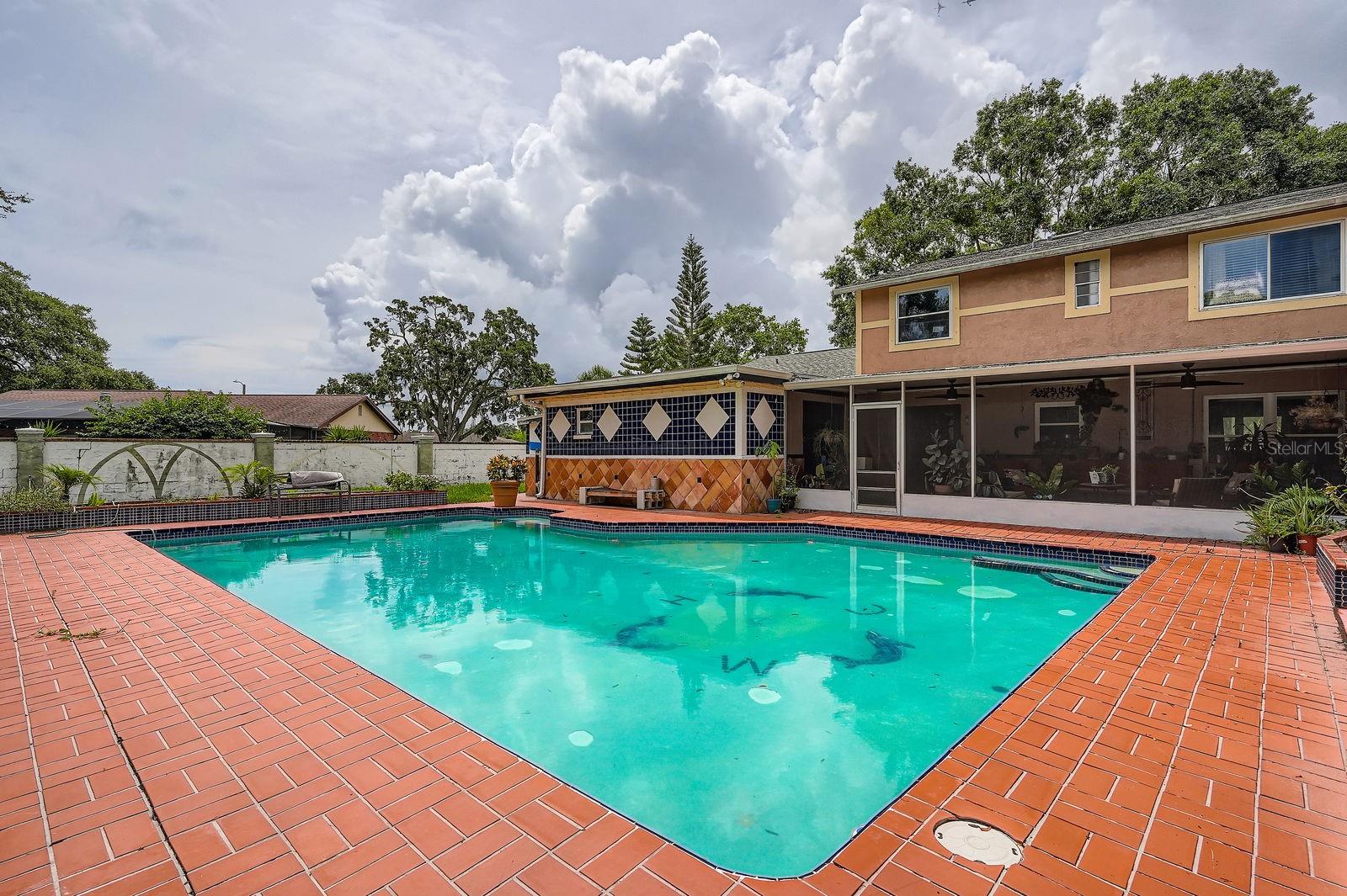 Oversized inground pool at 15508 Wetstone Drive, Tampa, FL