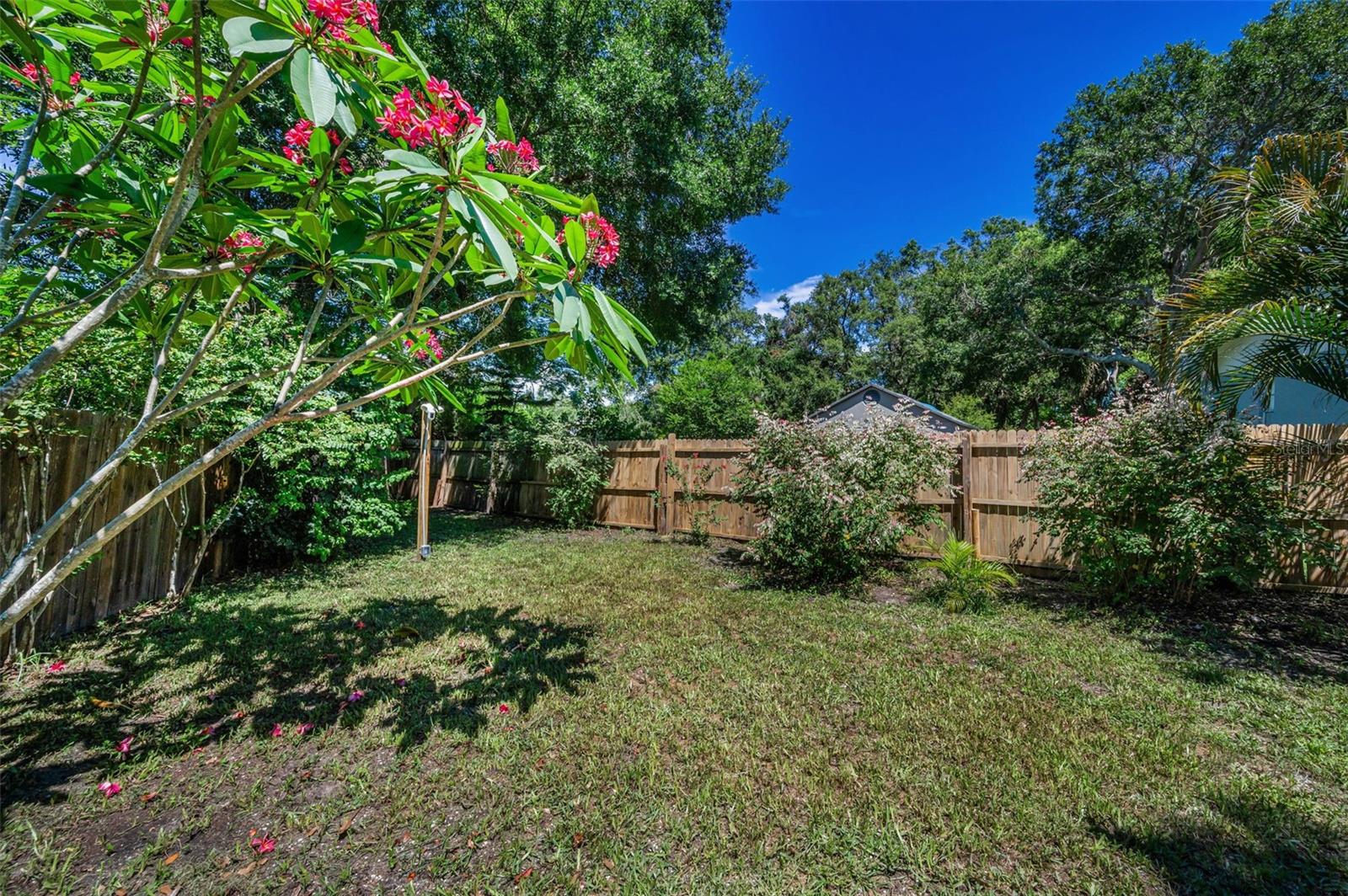 Fenced backyard for sports or pets