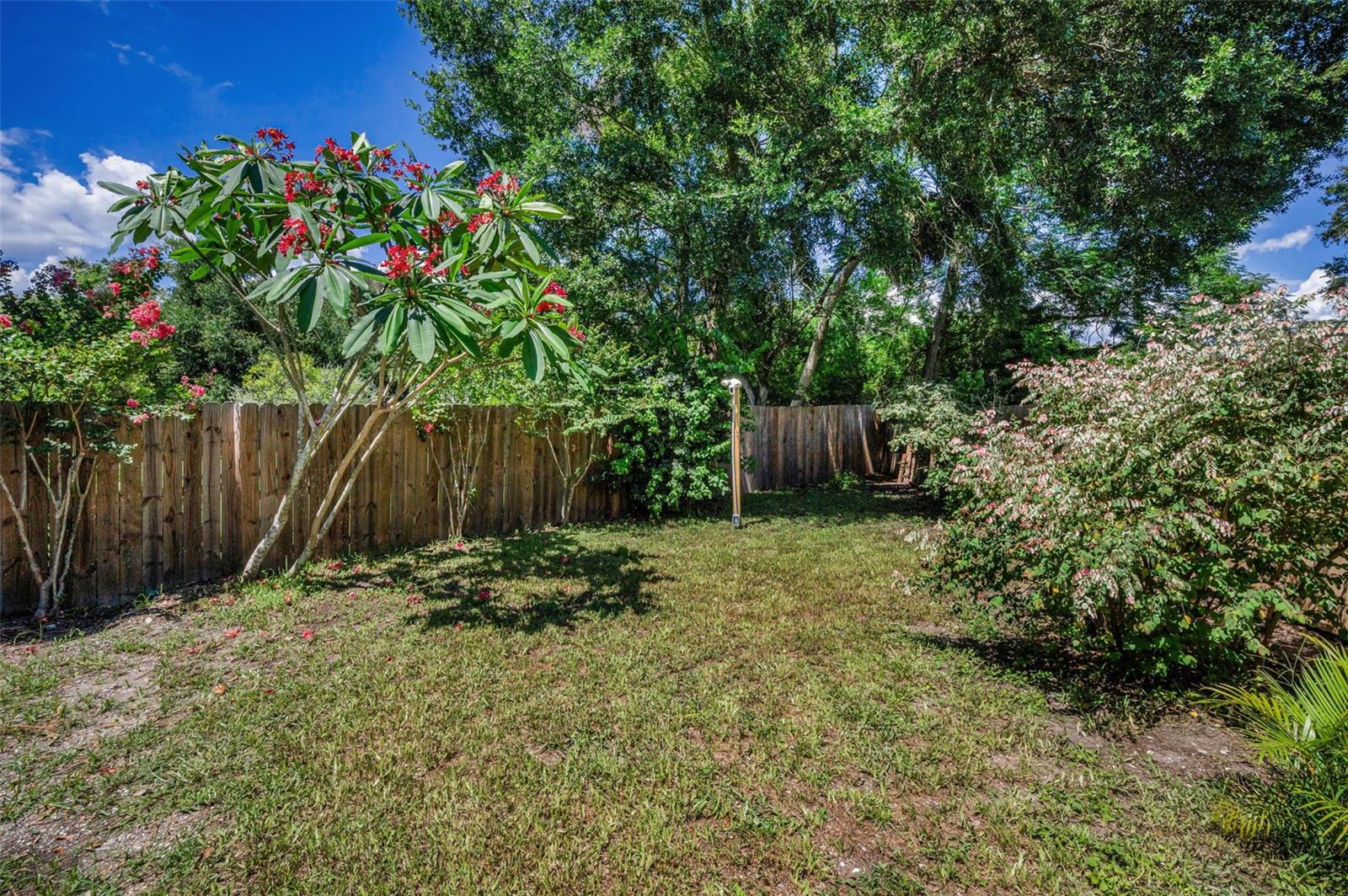 Landscaped and fenced!